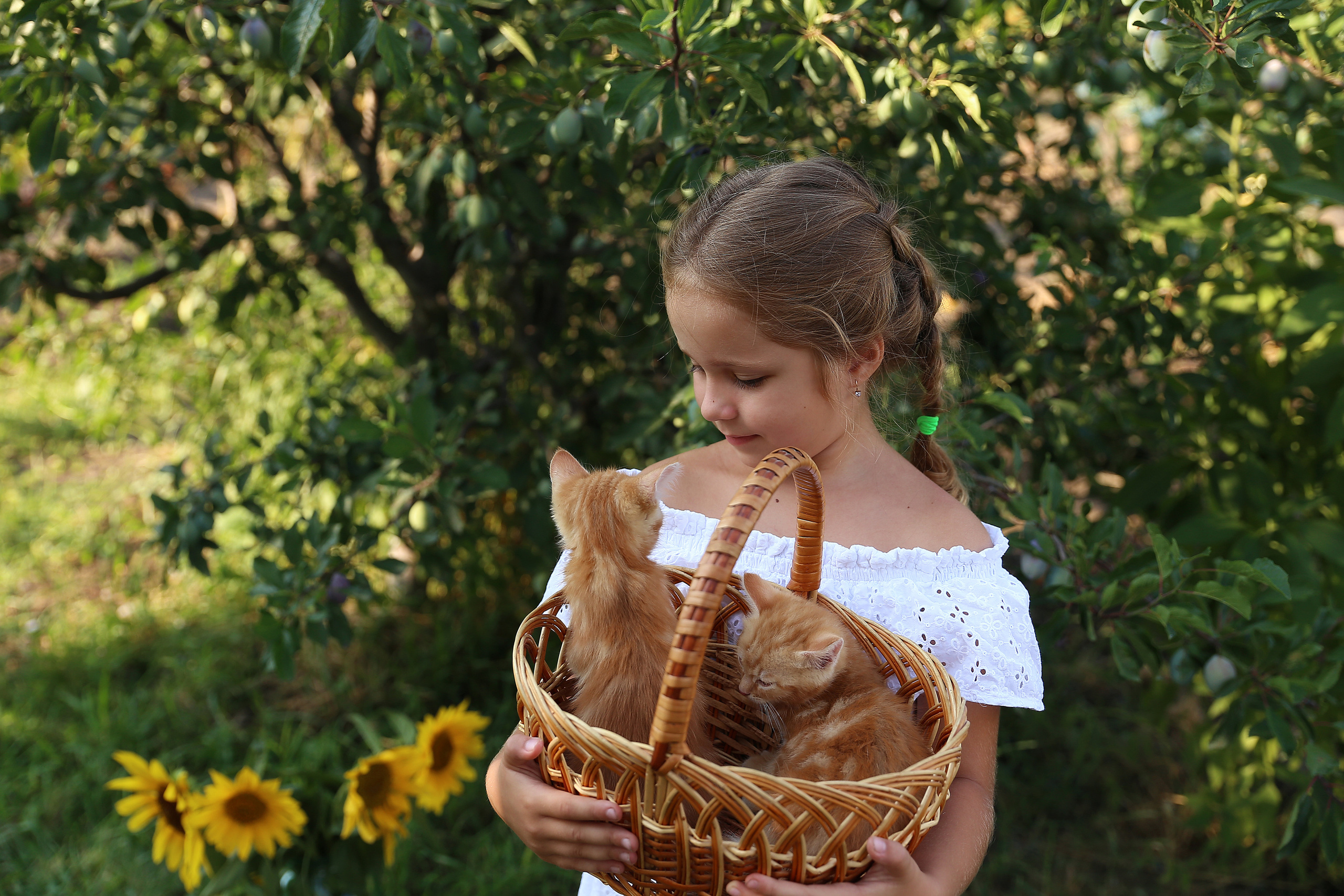 Творческие. Фотограф Любава Колесник. Выпускные альбомы в Крымском районе