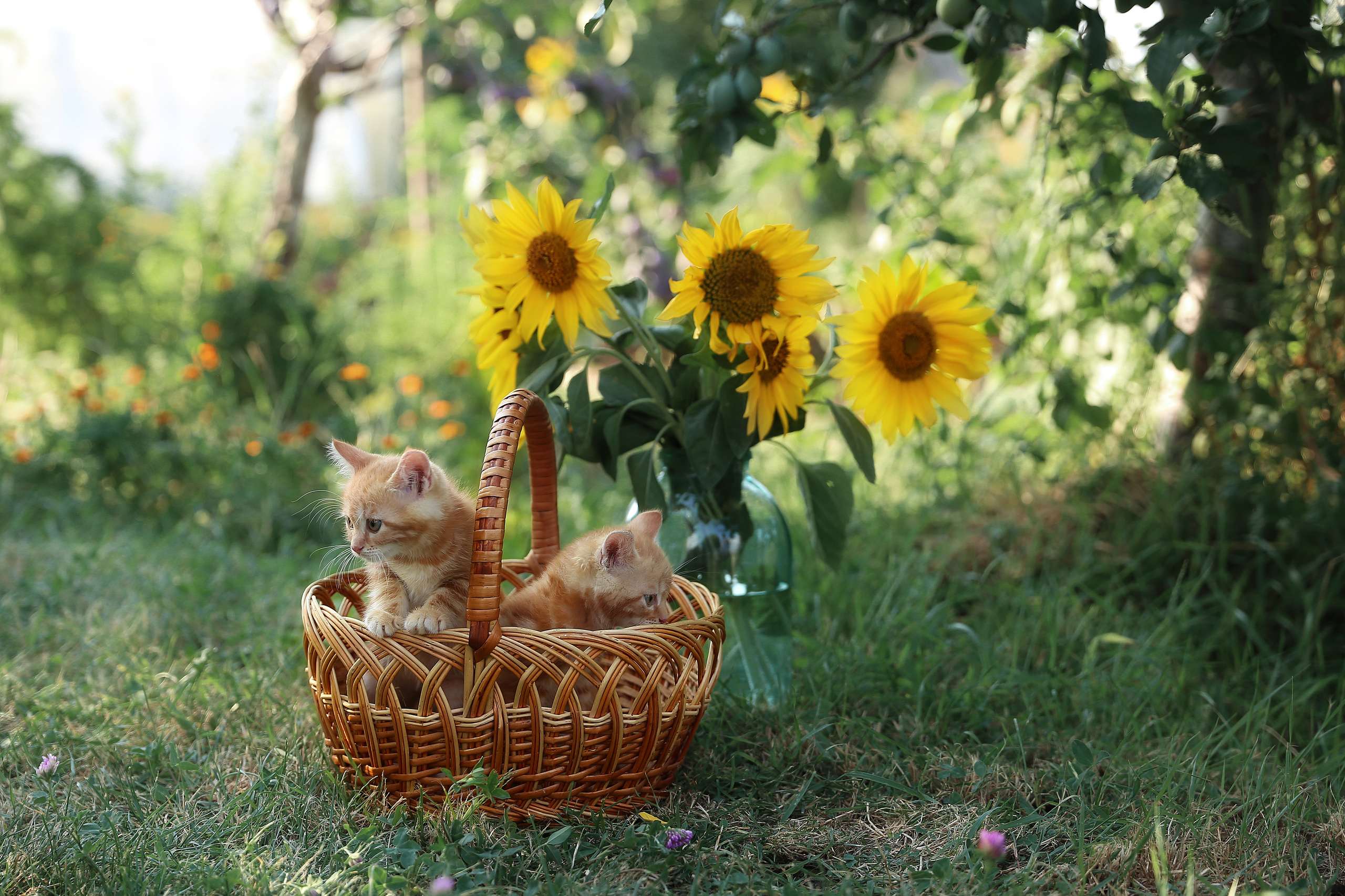 Творческие. Фотограф Любава Колесник. Выпускные альбомы в Крымском районе
