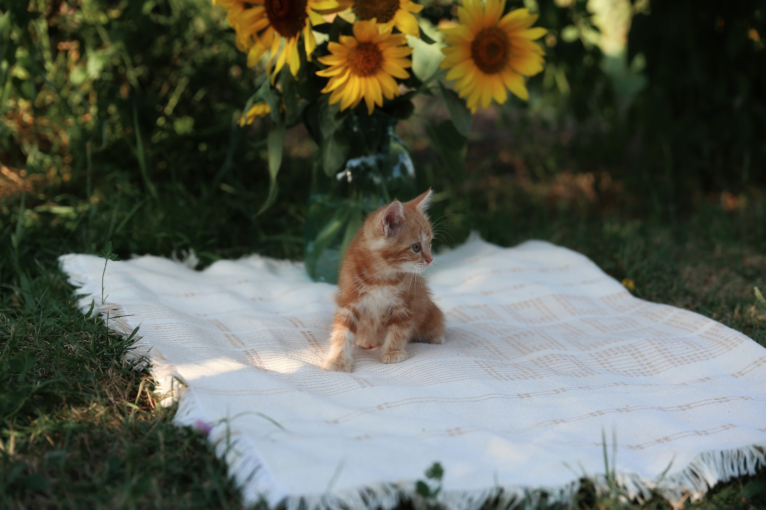 Творческие. Фотограф Любава Колесник. Выпускные альбомы в Крымском районе