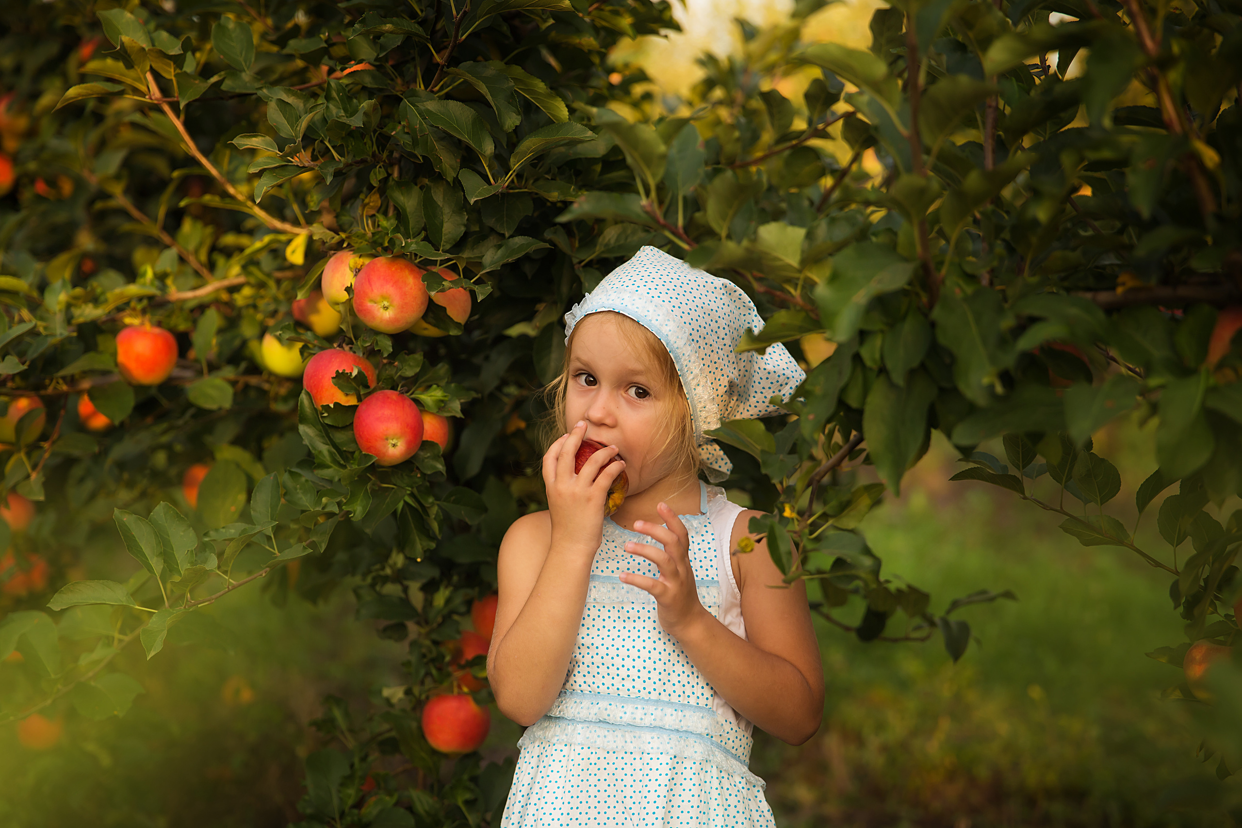 Творческие. Фотограф Любава Колесник. Выпускные альбомы в Крымском районе