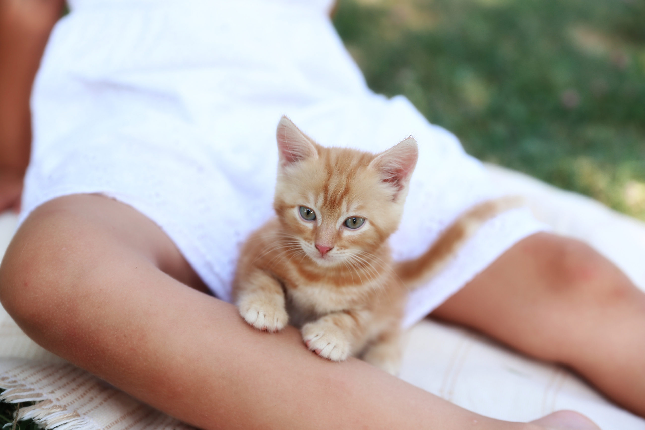 Творческие. Фотограф Любава Колесник. Выпускные альбомы в Крымском районе