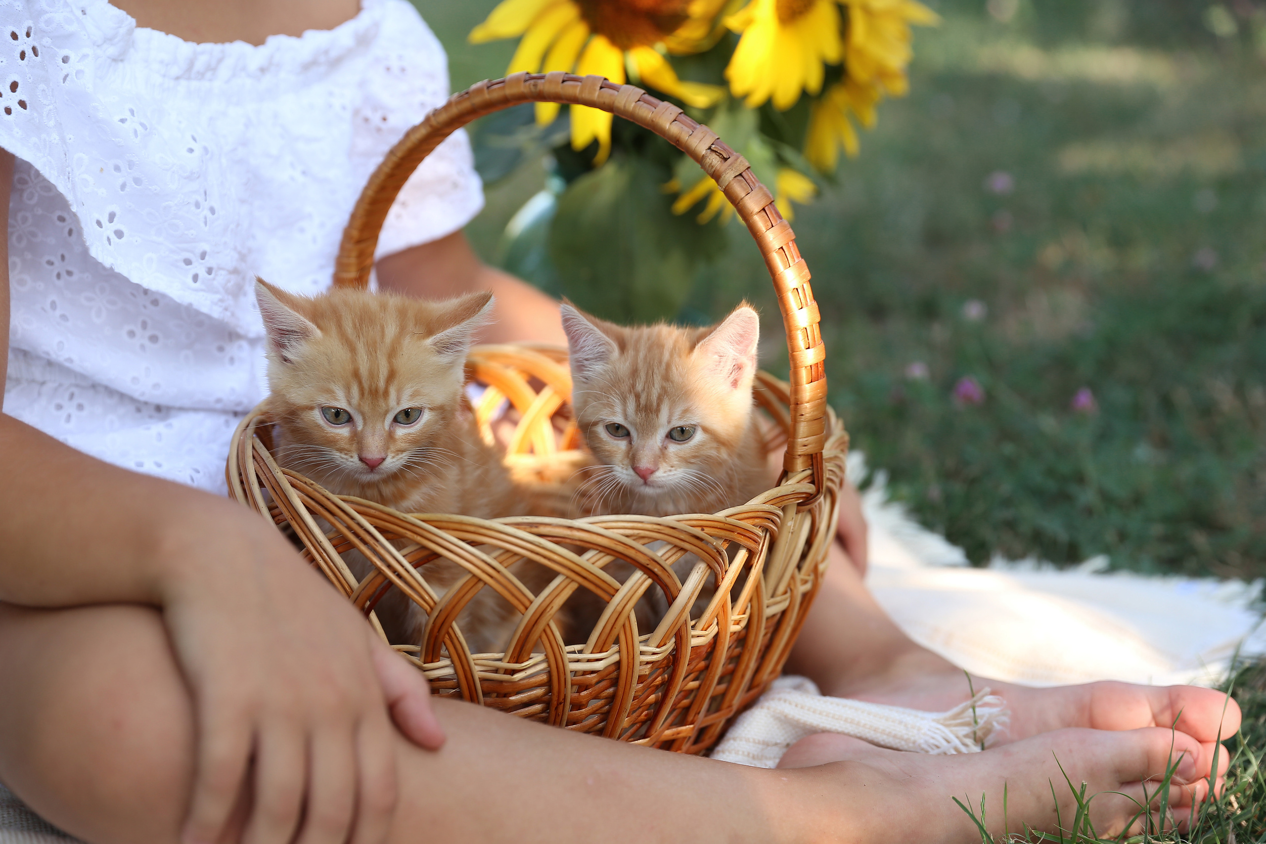 Творческие. Фотограф Любава Колесник. Выпускные альбомы в Крымском районе