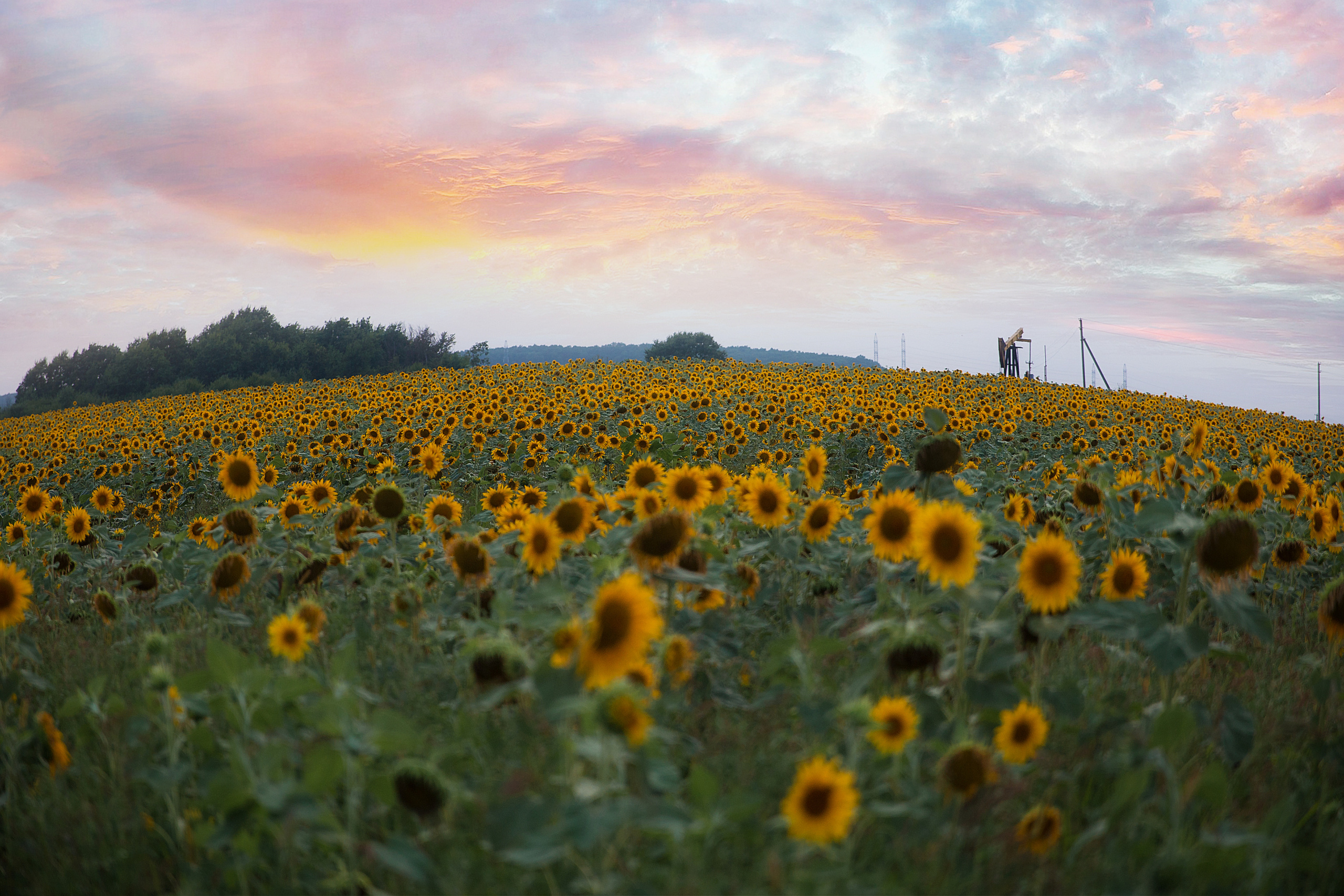 Творческие. Фотограф Любава Колесник. Выпускные альбомы в Крымском районе