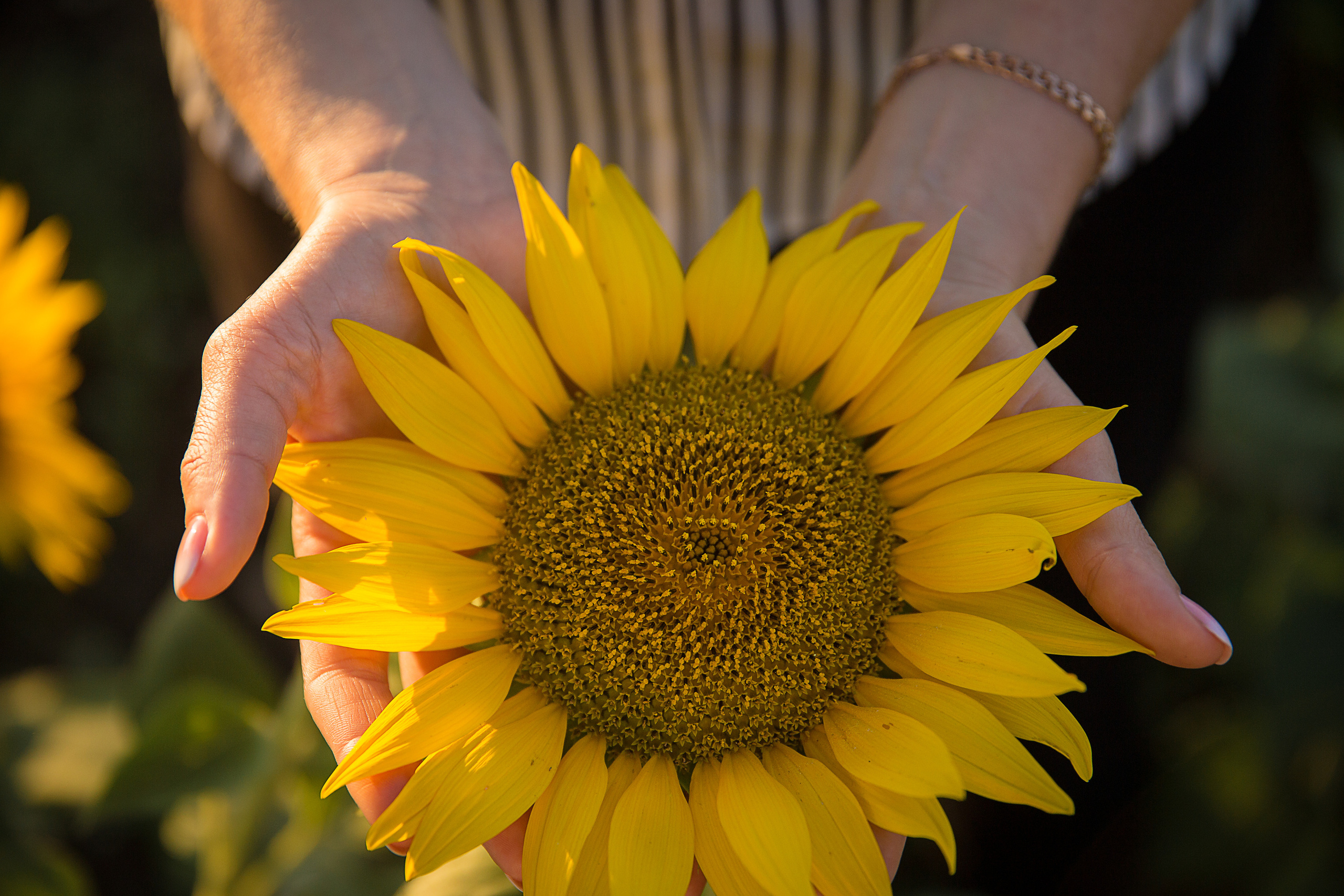 Творческие. Фотограф Любава Колесник. Выпускные альбомы в Крымском районе