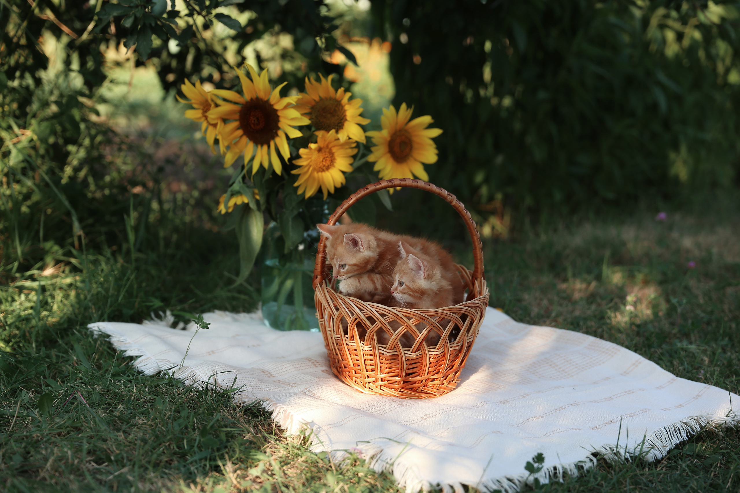 Творческие. Фотограф Любава Колесник. Выпускные альбомы в Крымском районе