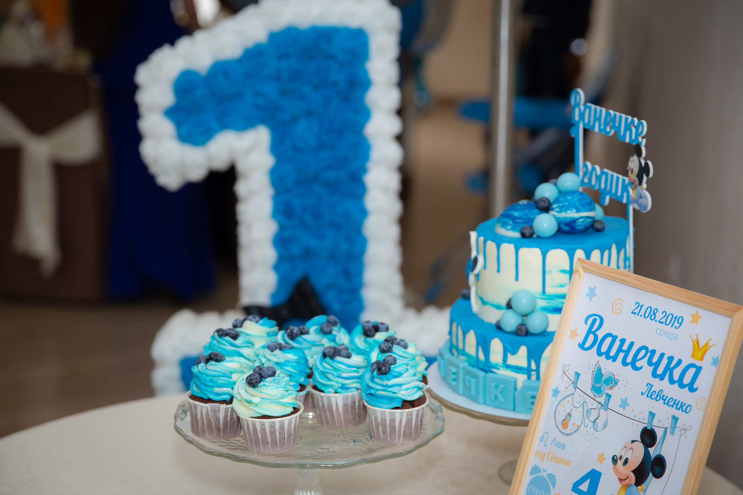 День рождения Ванечки 1 год. Фотограф Любава Колесник. Выпускные альбомы в Крымском районе