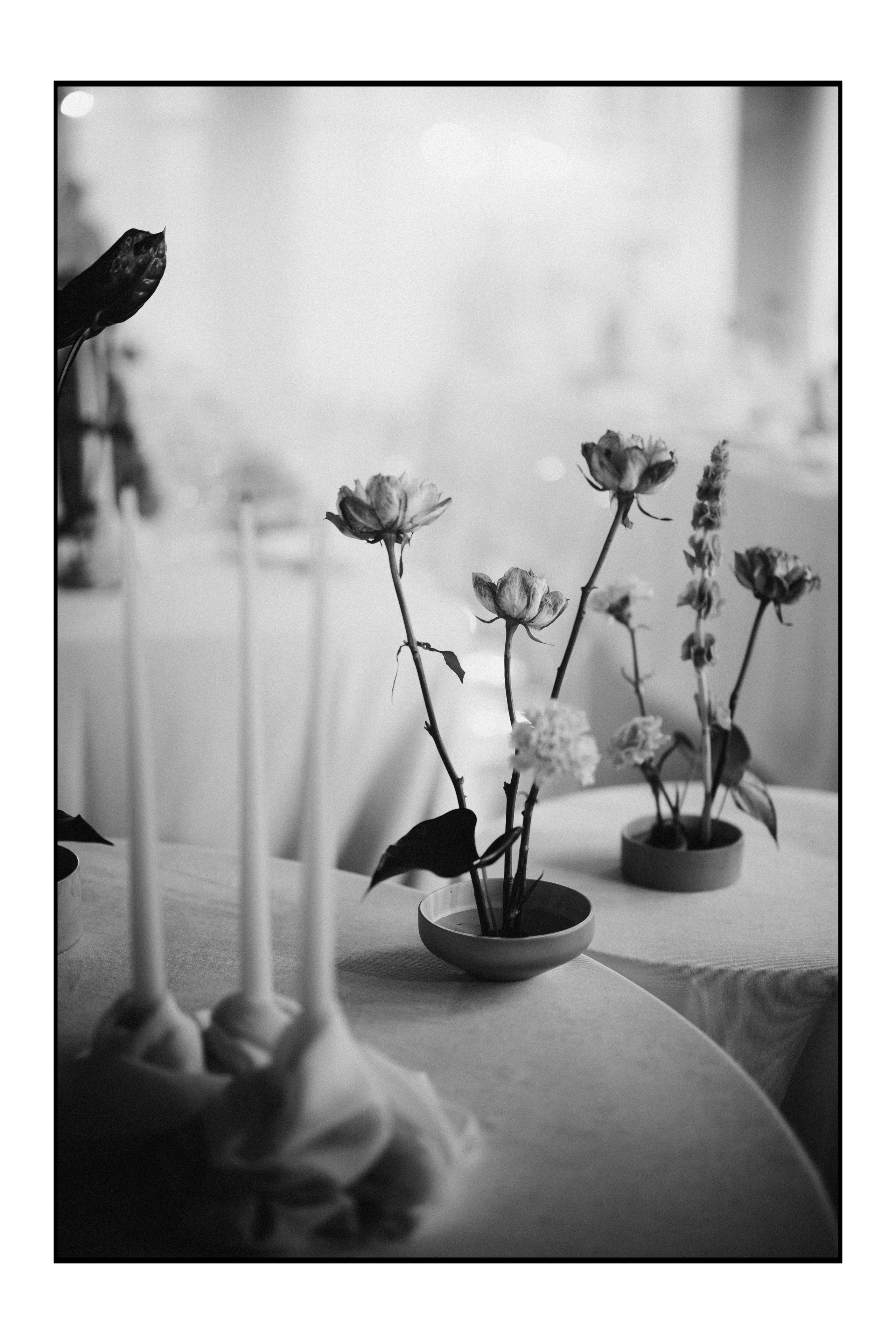 Вот это да, у меня теперь есть жена…. Daria Chigintseva Photographer