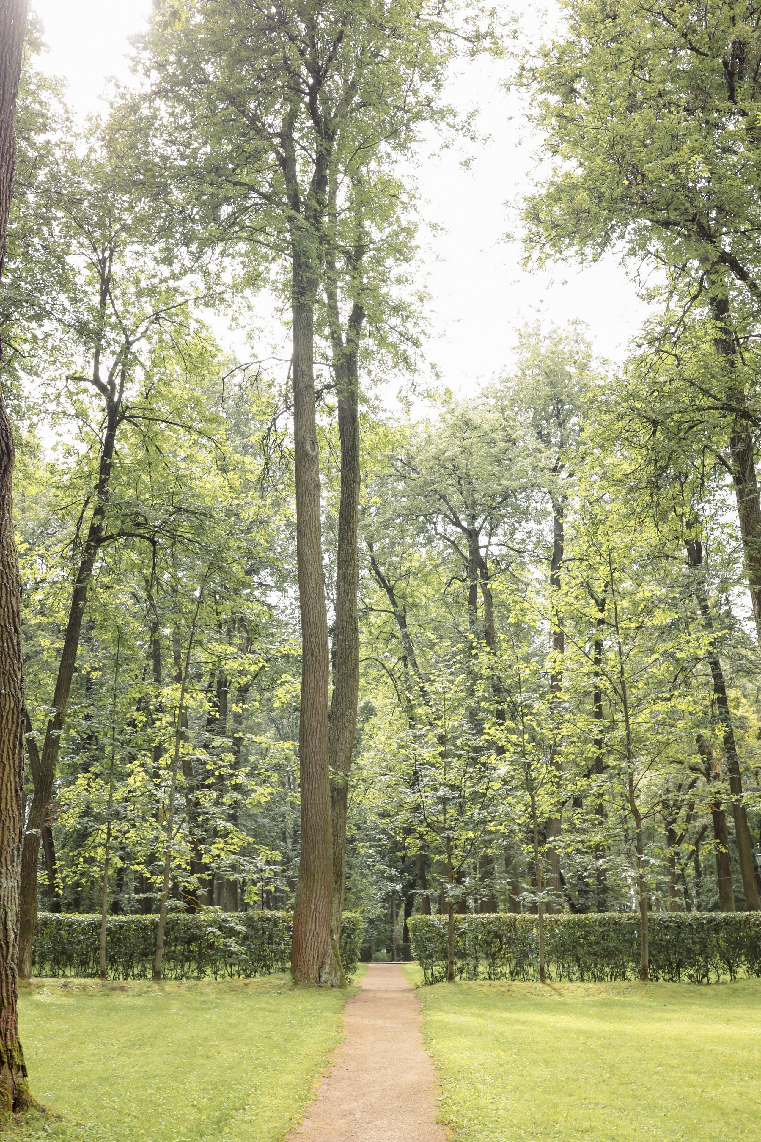 Александр и Карина. Фотограф на Новой риге и в Москве Елена Елис