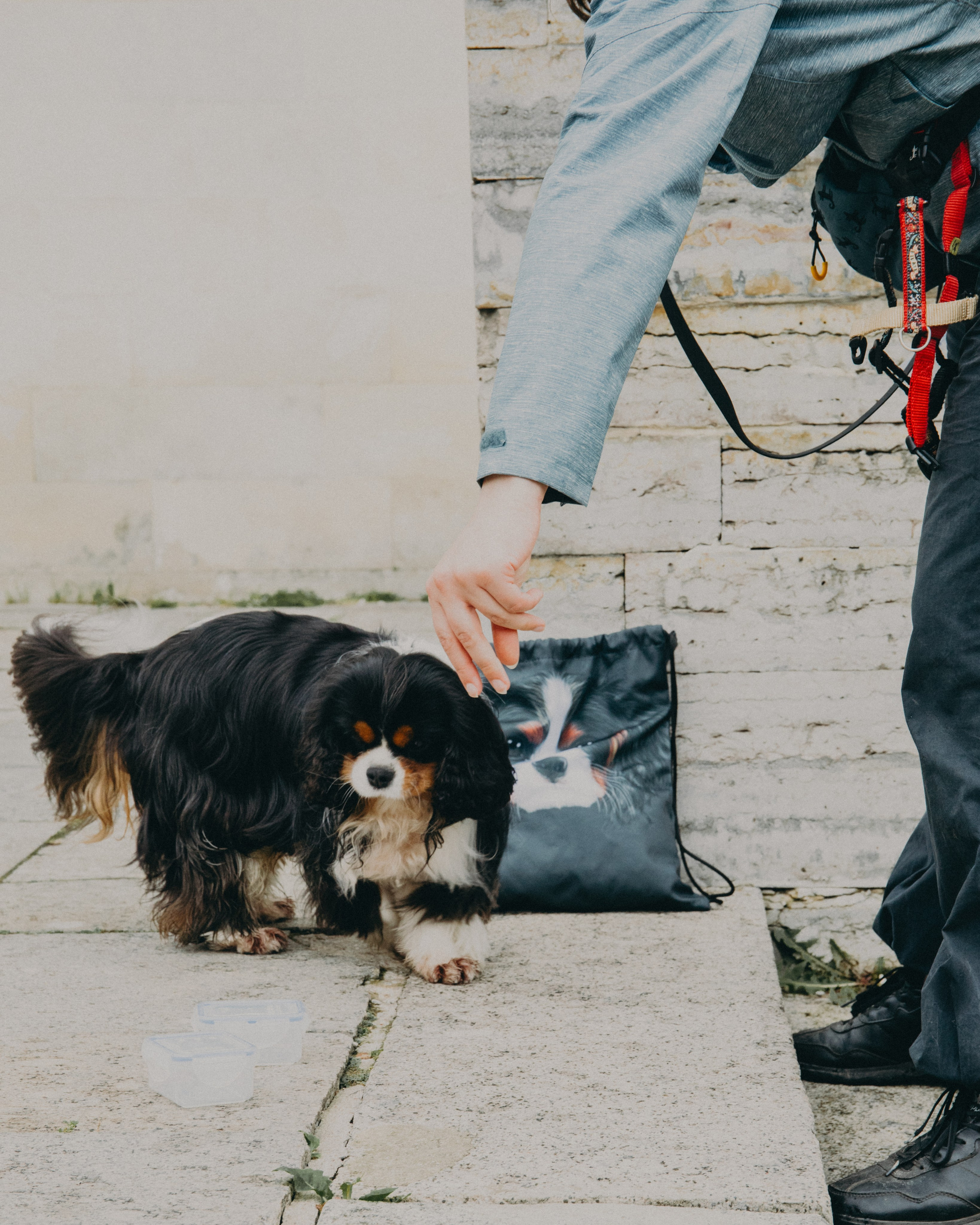 Гилдин. Портретный фотограф Ванинен Анастасия. Санкт-Петербург