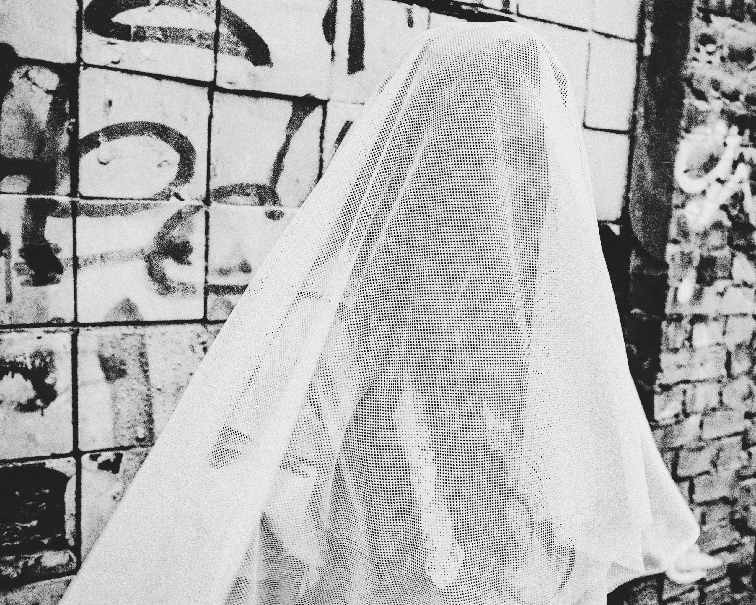 Луми. Портретный фотограф Ванинен Анастасия. Санкт-Петербург