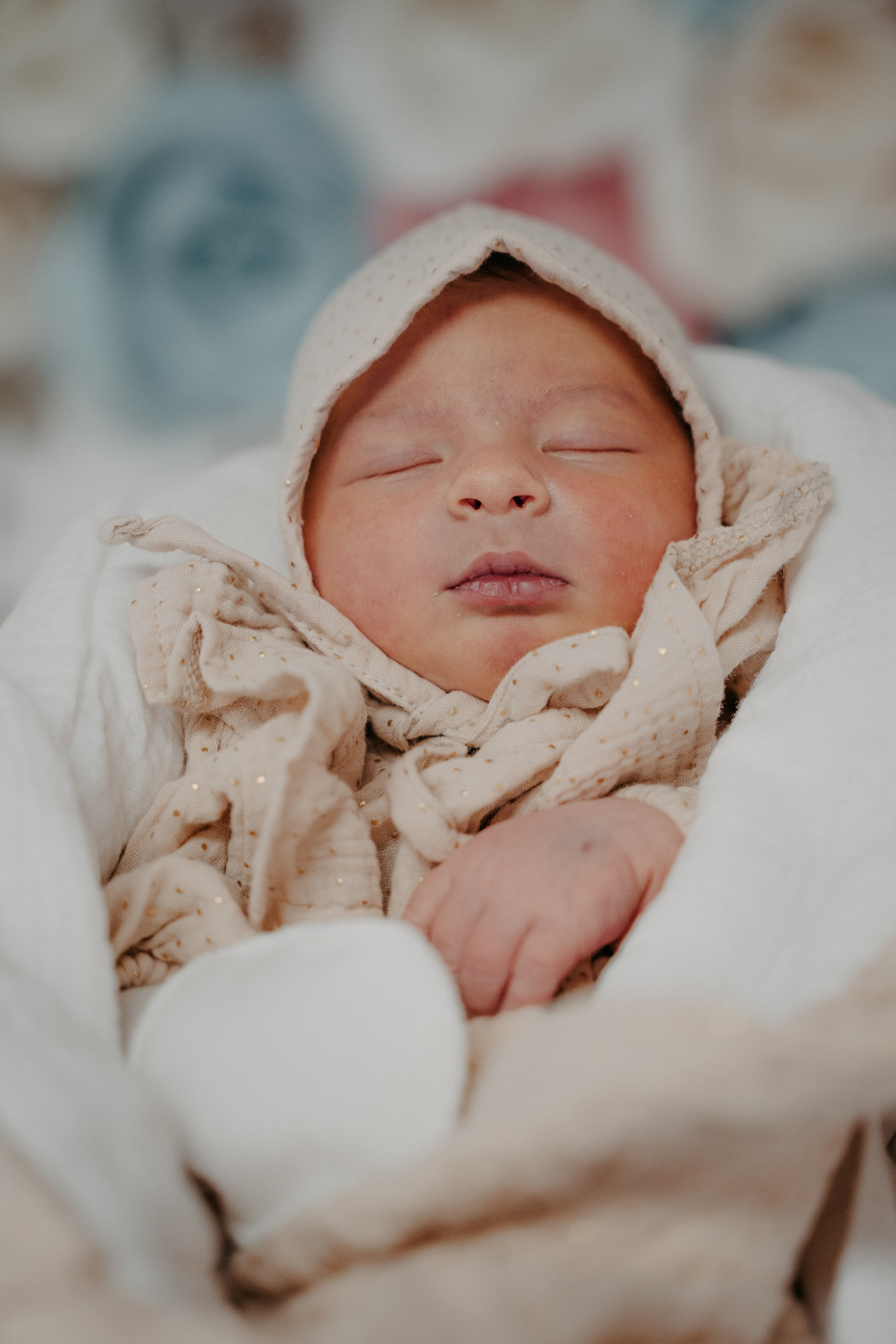 Вика и Дима. Аплас Анастасия