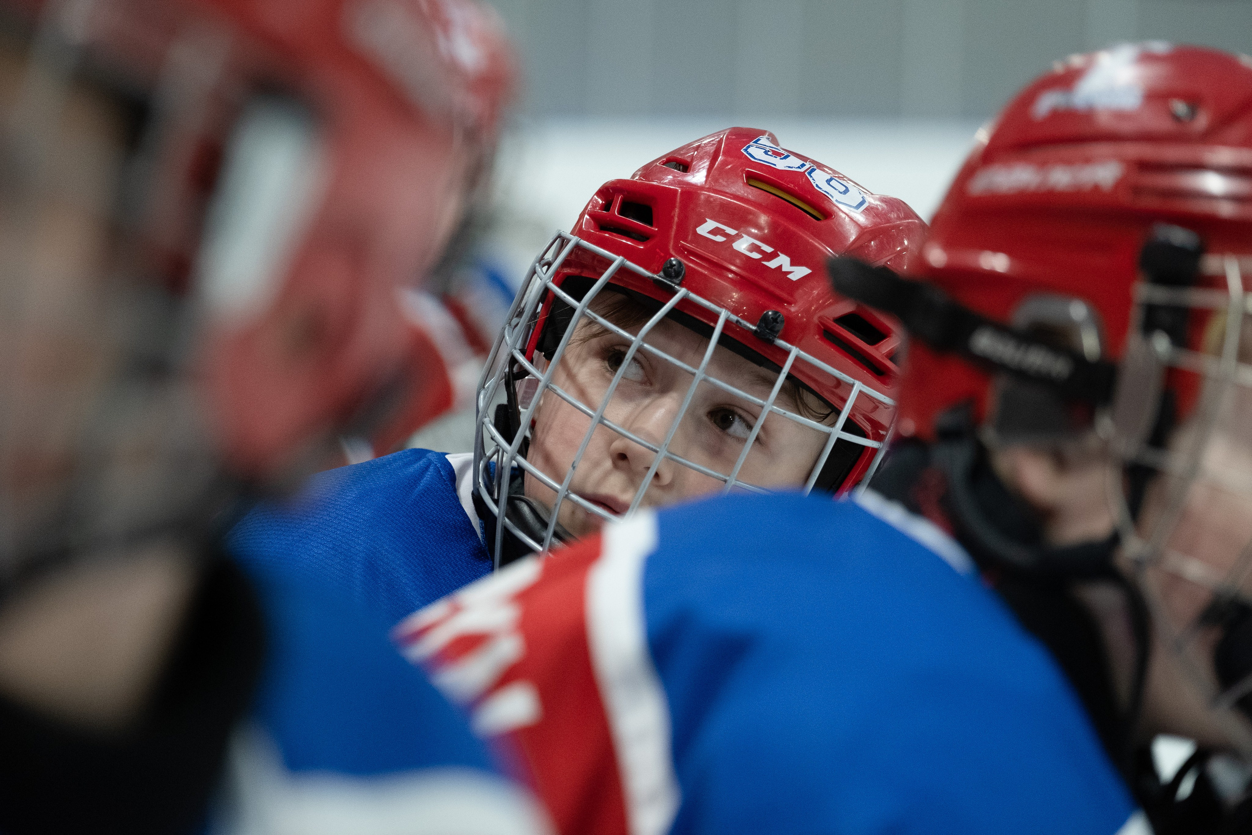 Спорт. Выпускные альбомы в Ярославле и Ярославской области Ярко Фото