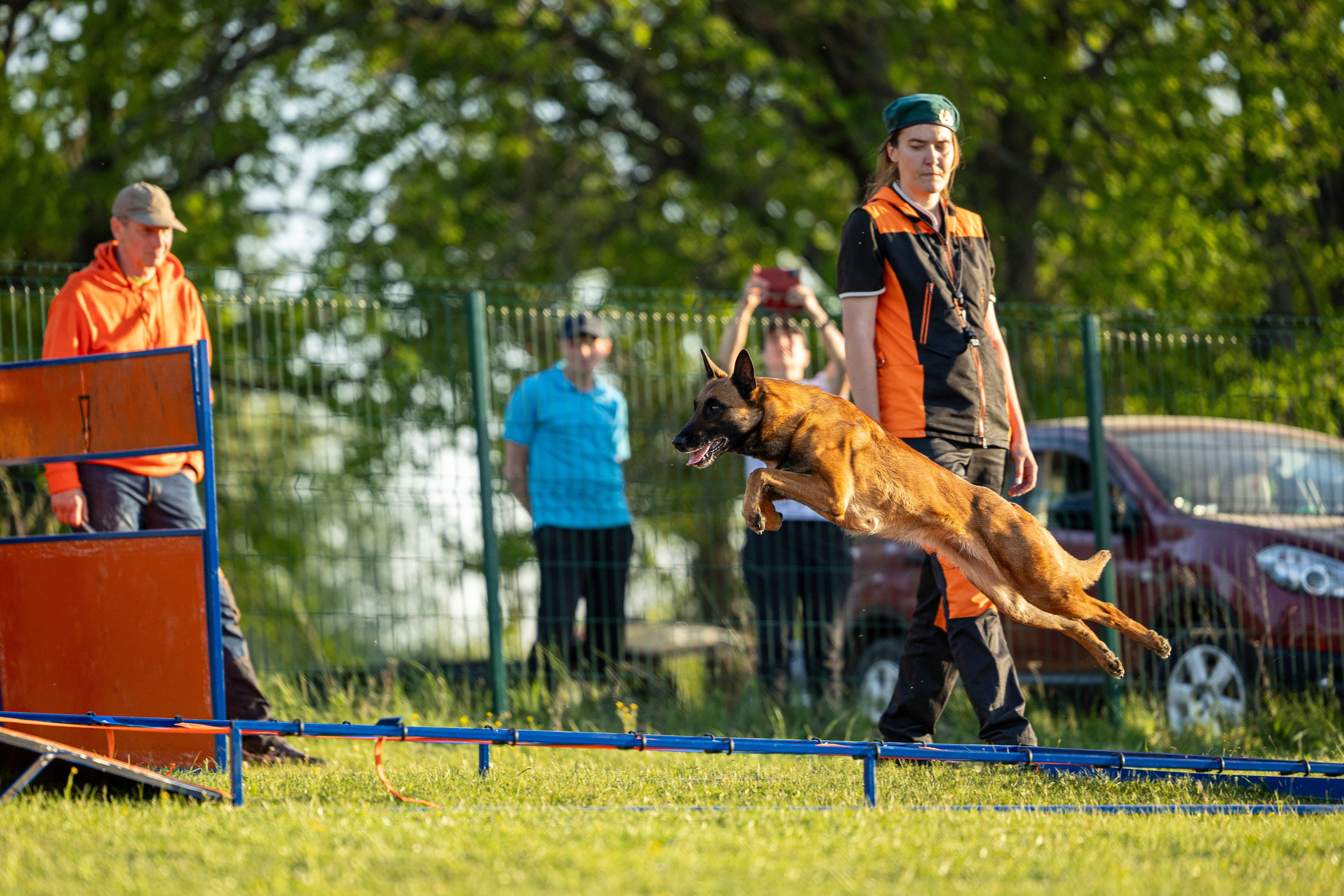 Испытания по мондьорингу в Нижнем Новгороде. Фотограф-анималист Анна Маринич