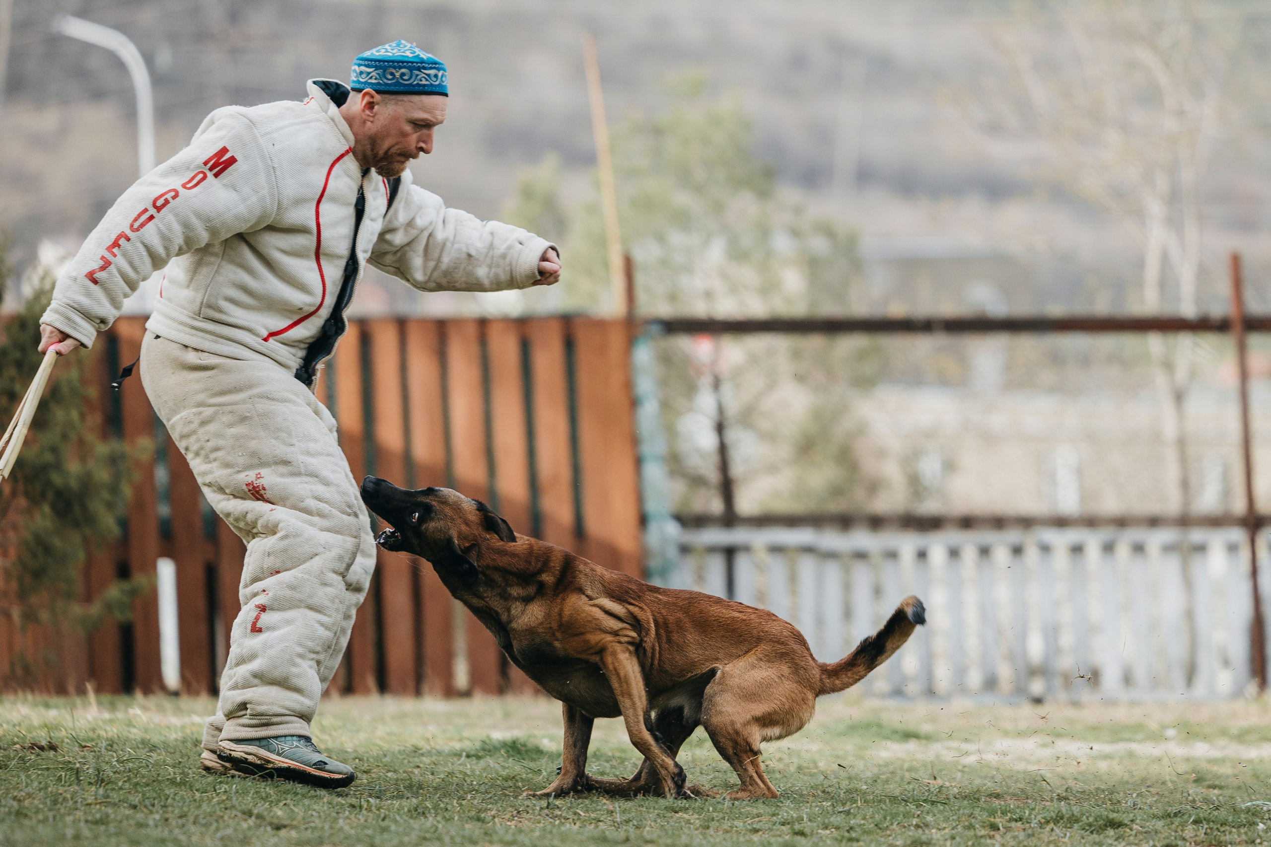 Геленджик Мондьоринг. Фотограф-анималист Анна Маринич