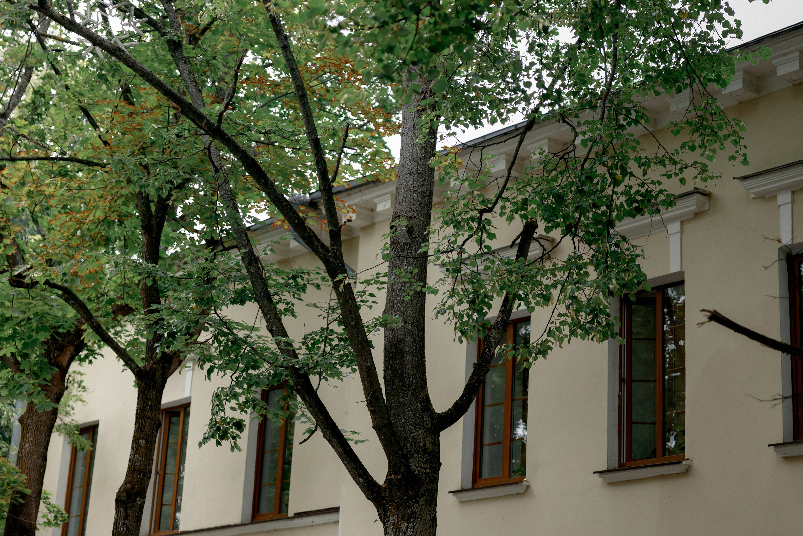 Софья и Андрей. Роспись в Суздале и фотосессия на кабриолете. Свадебный фотограф Аня Милграм