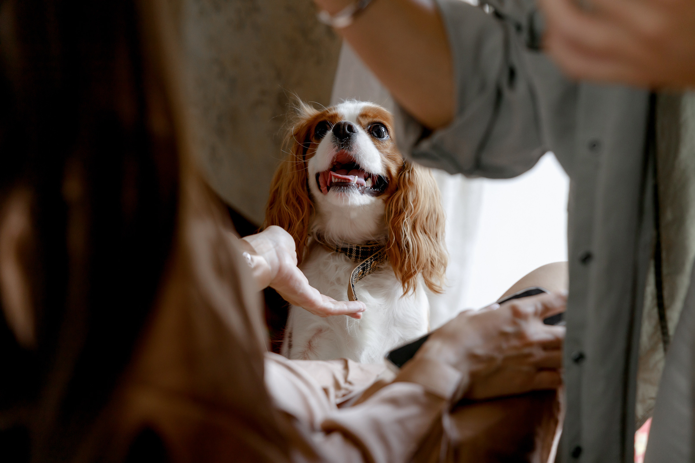 Надя и Илья. Свадебный фотограф Аня Милграм