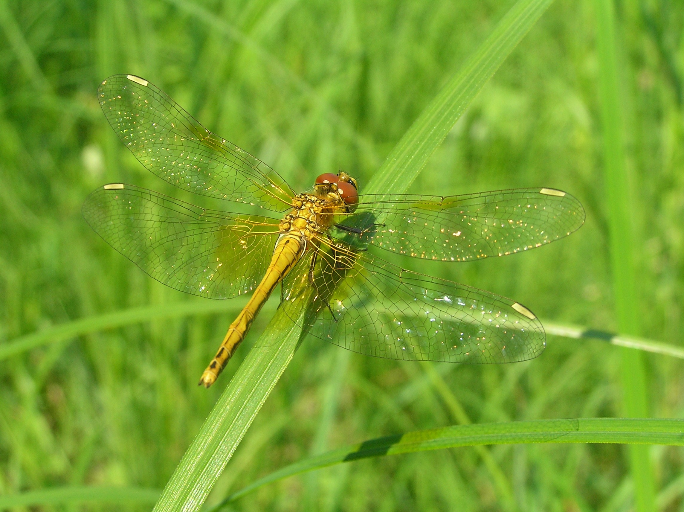 Пейзажная фотография