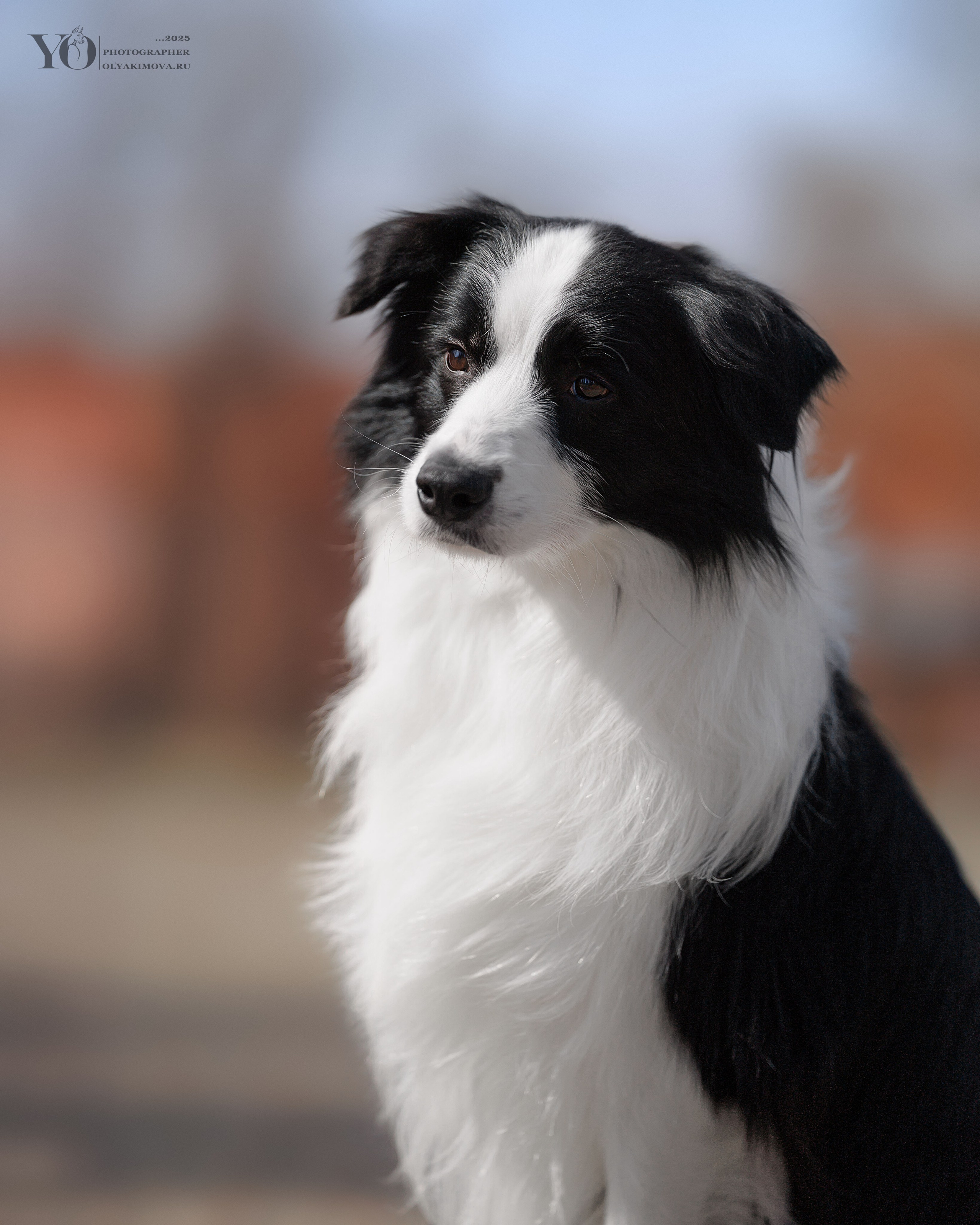 Экстерьер. Фотограф