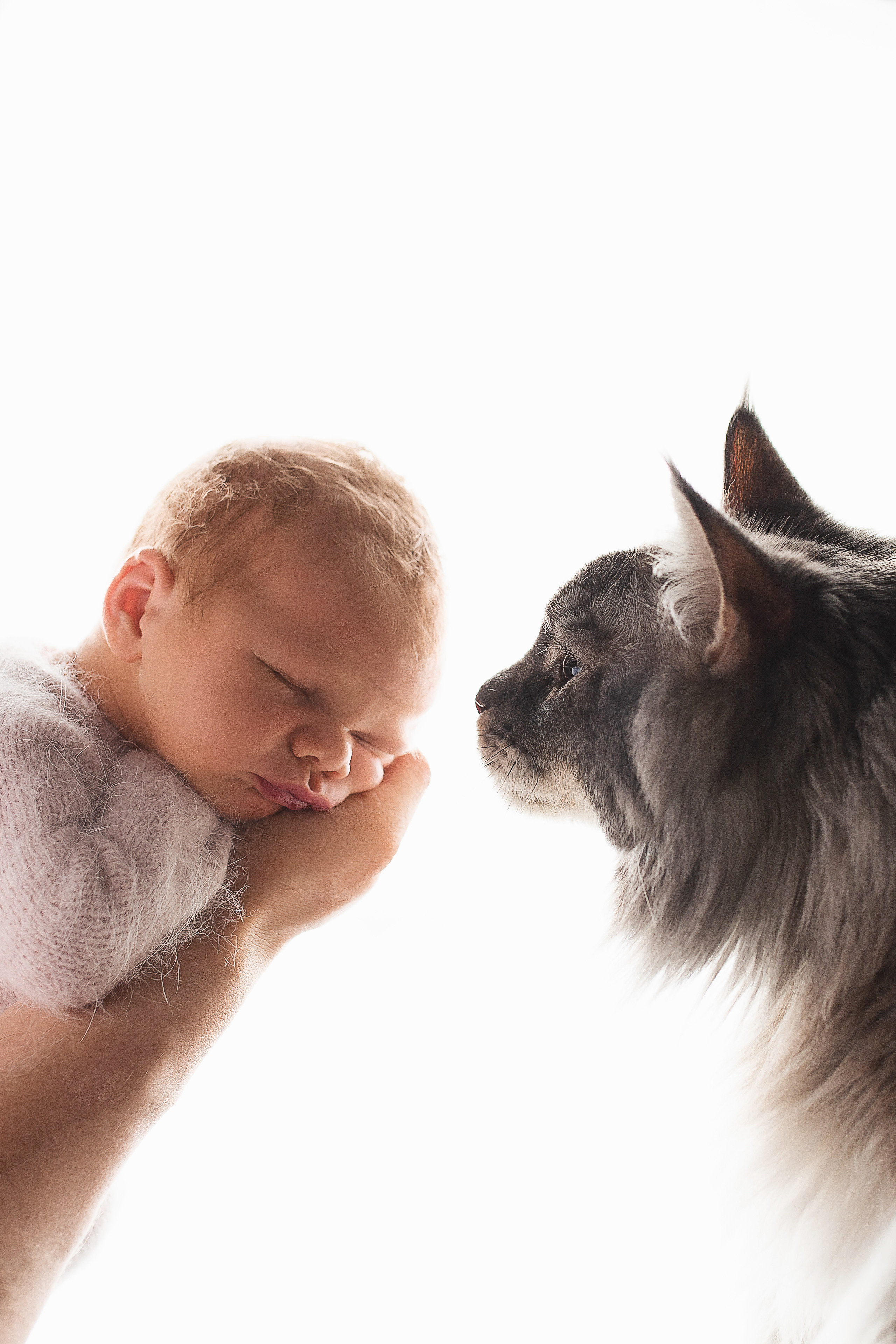 Мальчики. Фотограф новорожденных Серпухов, Протвино, Москва I Марина Бурмистрова