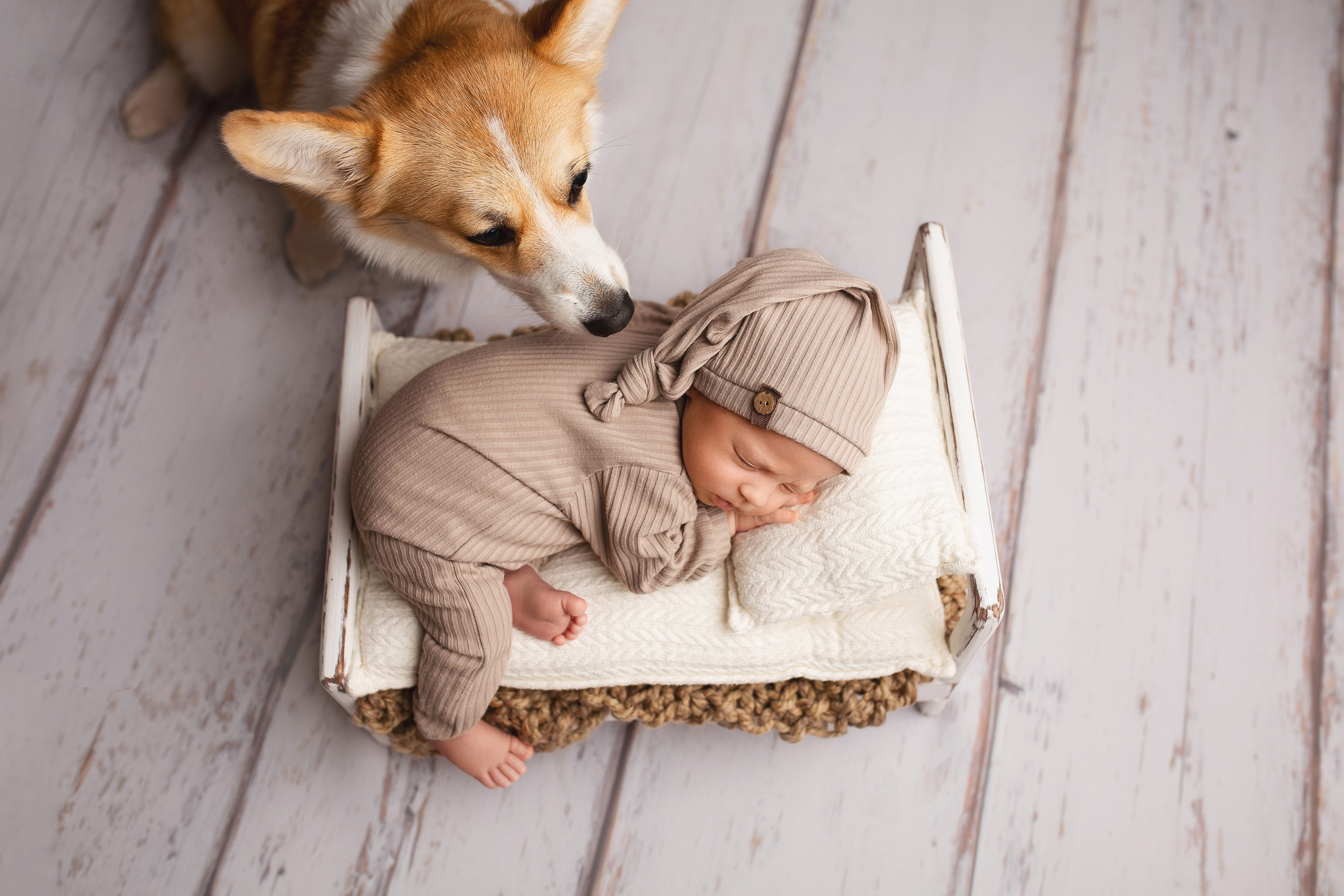 Мальчики. Фотограф новорожденных Серпухов, Протвино, Москва I Марина Бурмистрова
