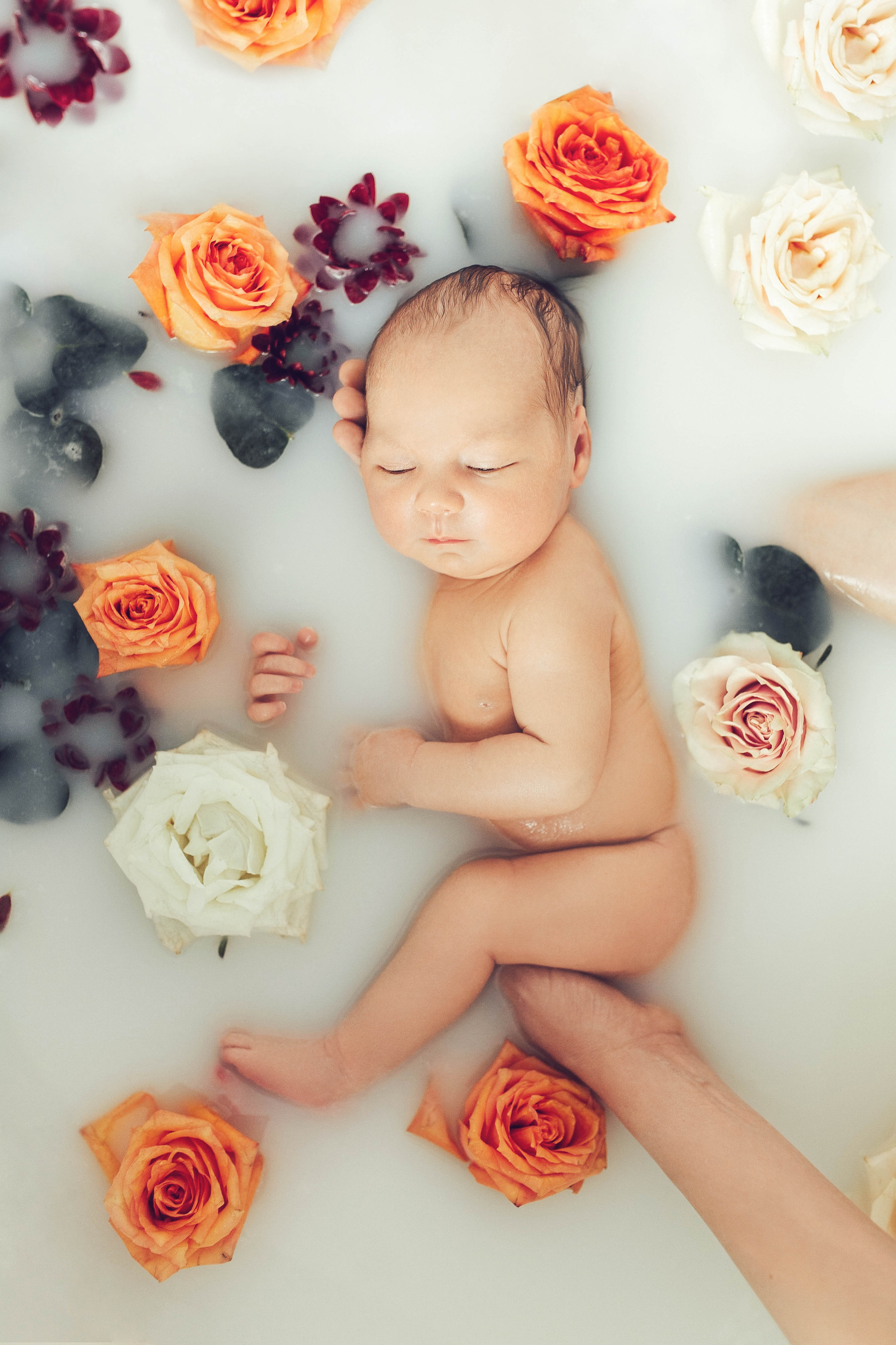 Девочки. Фотограф новорожденных Серпухов, Протвино, Москва I Марина Бурмистрова