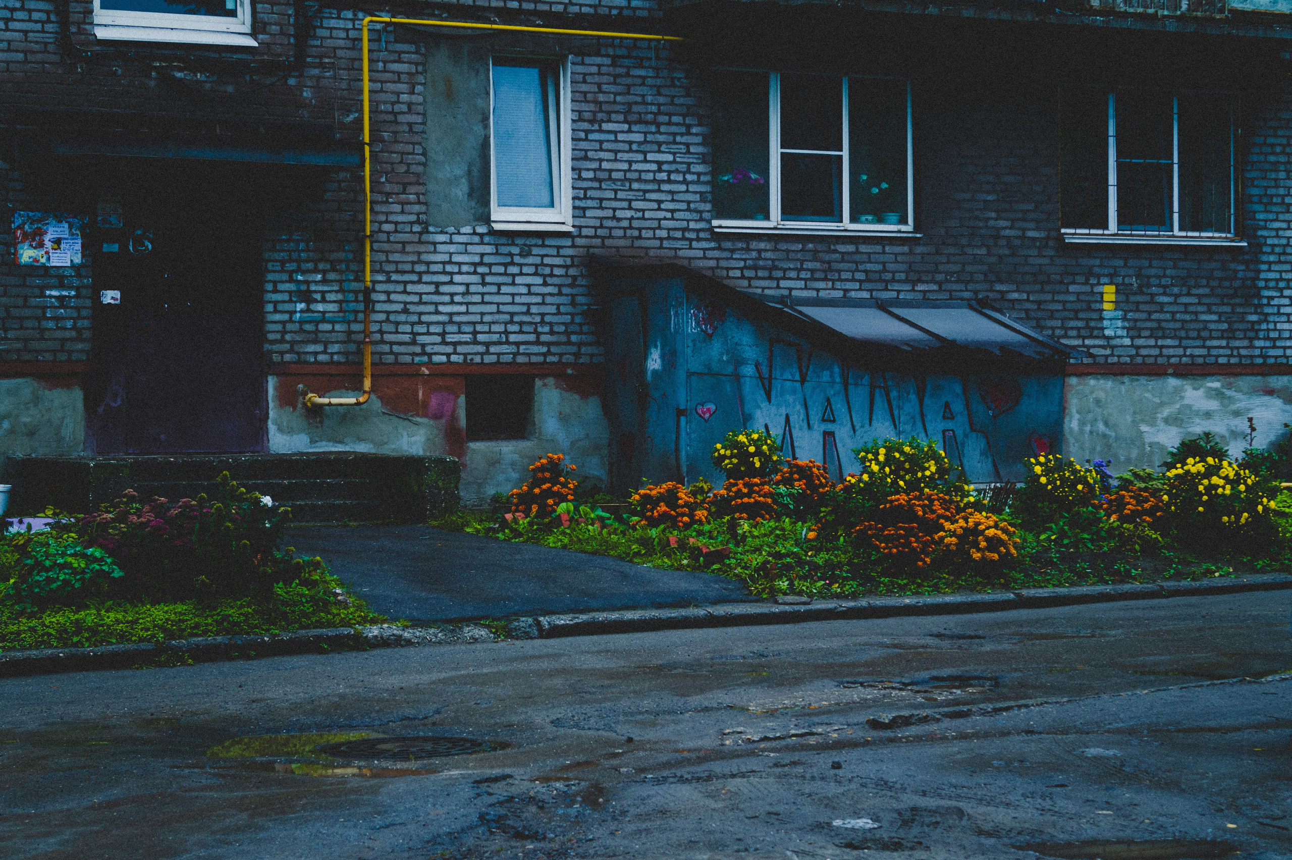 Октябрь 2025. Den Mirov — Фотограф, Музыкант