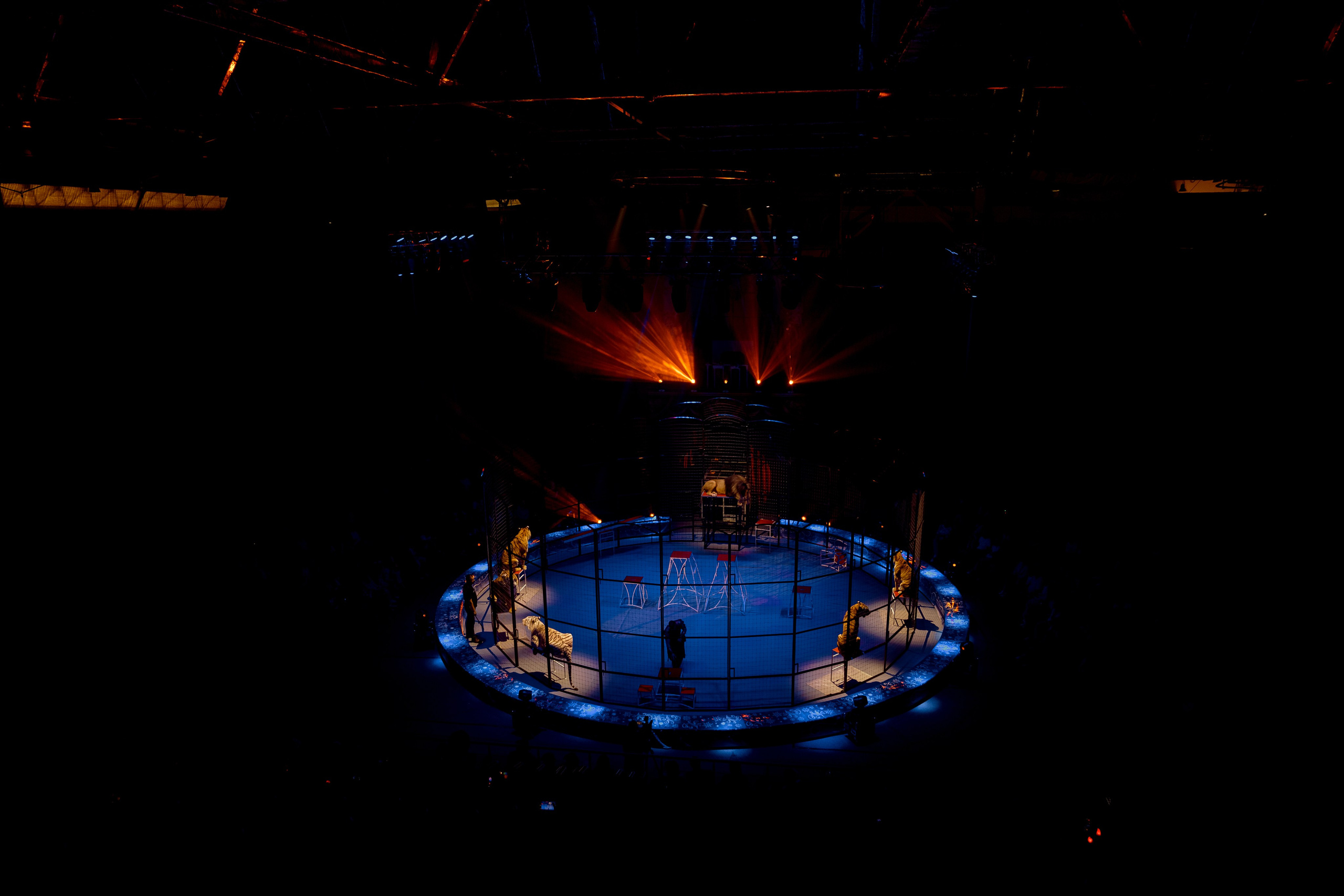 Цирк Moretti в Иркутске. Свадебный фотограф Иркутск, репортажный фотограф Иркутск