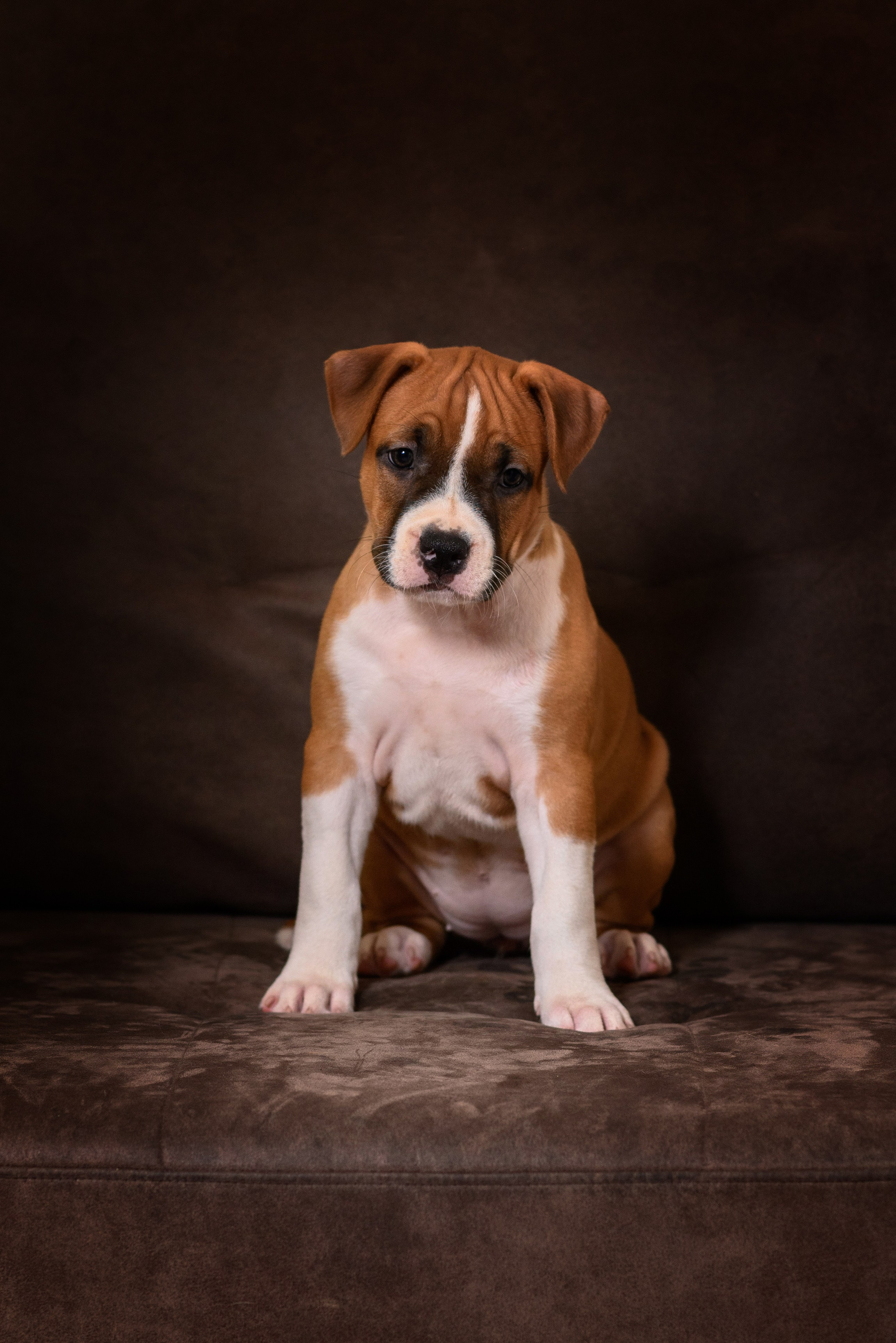 ЖЫВЁЛЫ. Вясельны і партрэтны фатограф Сяргей Клемянок