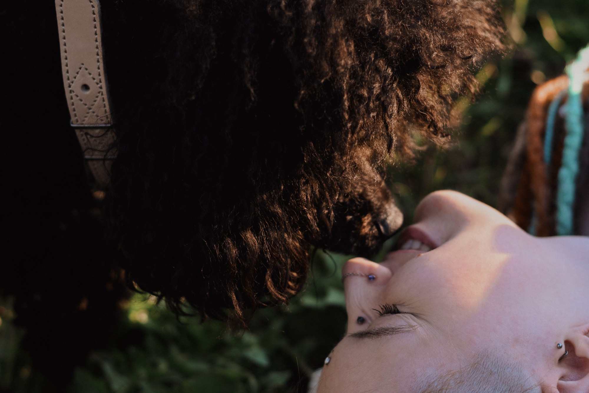 Фотосессия пары с собакой в Тюмени — Стася, Кирилл и Каренин. Портретный фотограф Тюмень Дарья Мустафина