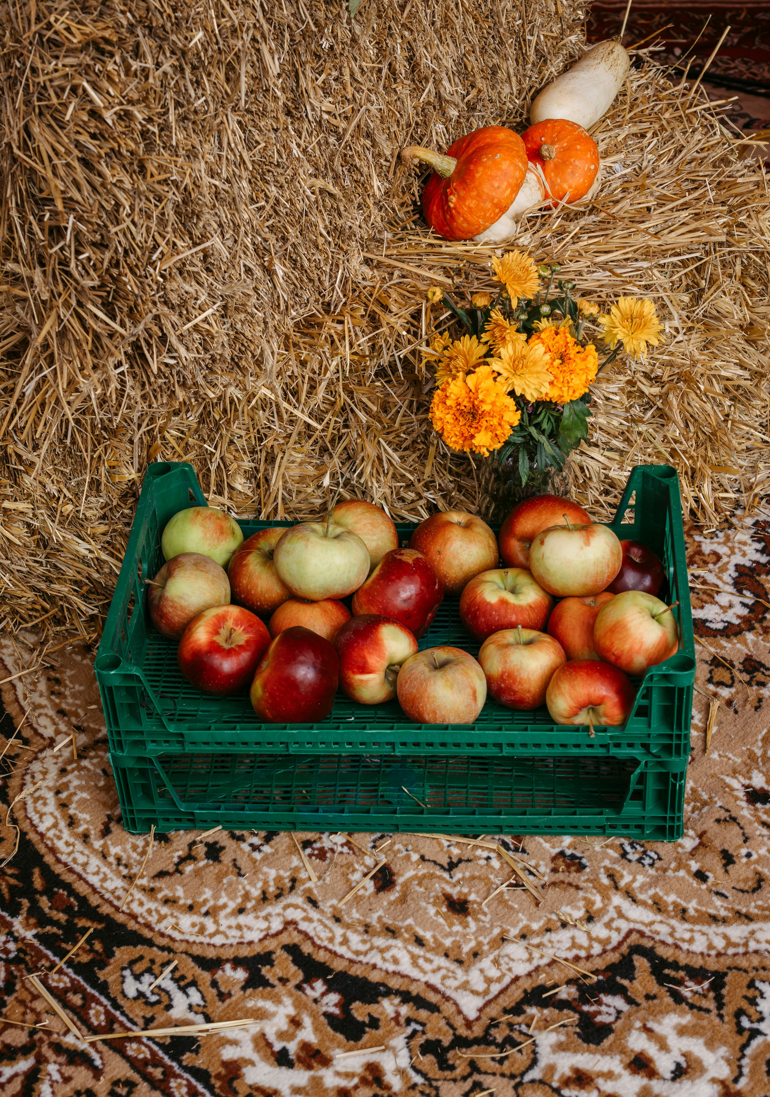 27–28 сентября 2025 в Казани на фестивале «Очень! Осень» / фото Александр Копылов. Фотоотчеты «Ламбада-маркета»