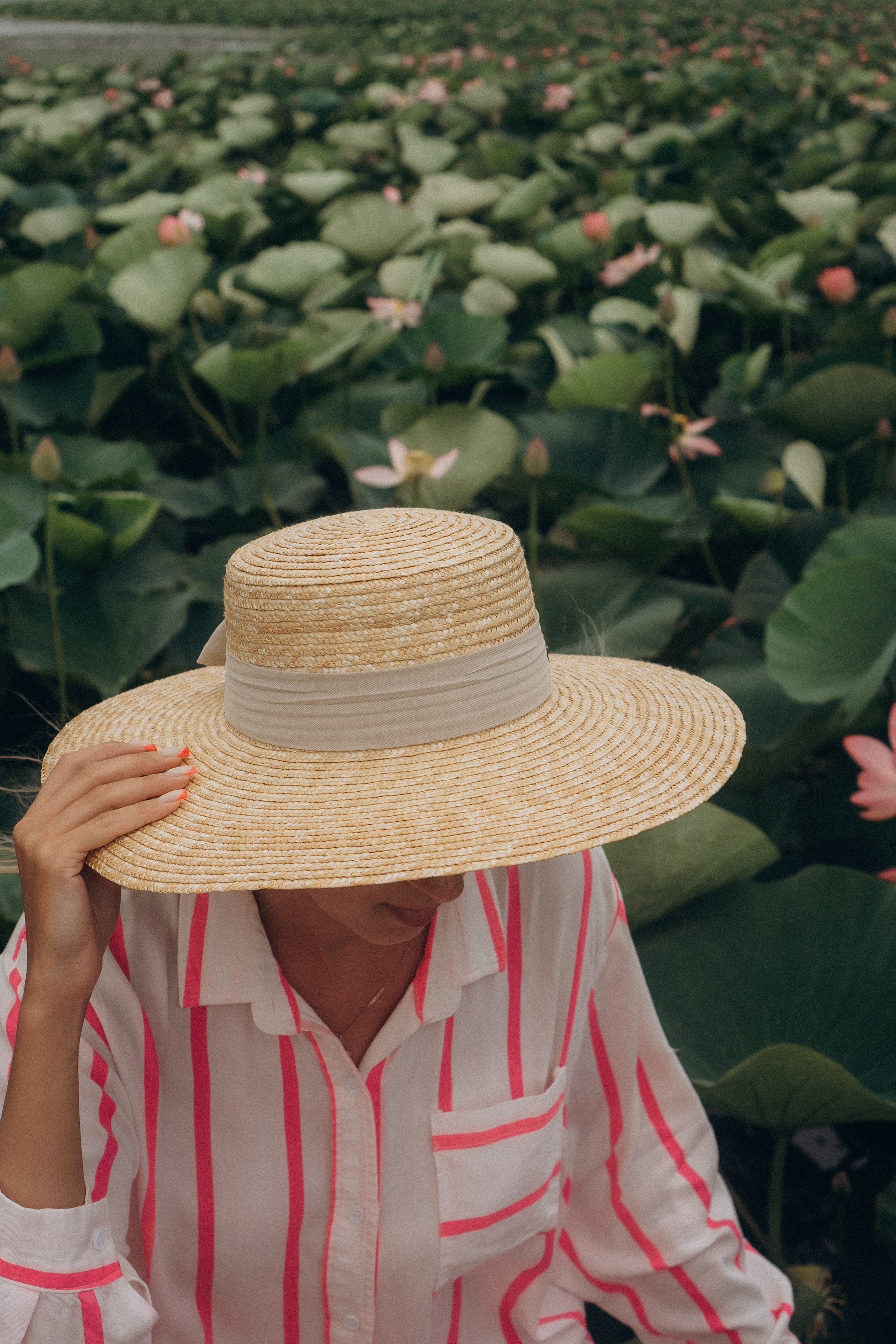 ЛОТОСОВАЯ ПОЛЯНА. Профессиональный фотограф, Санкт-Петербург — Виктория Богомолова