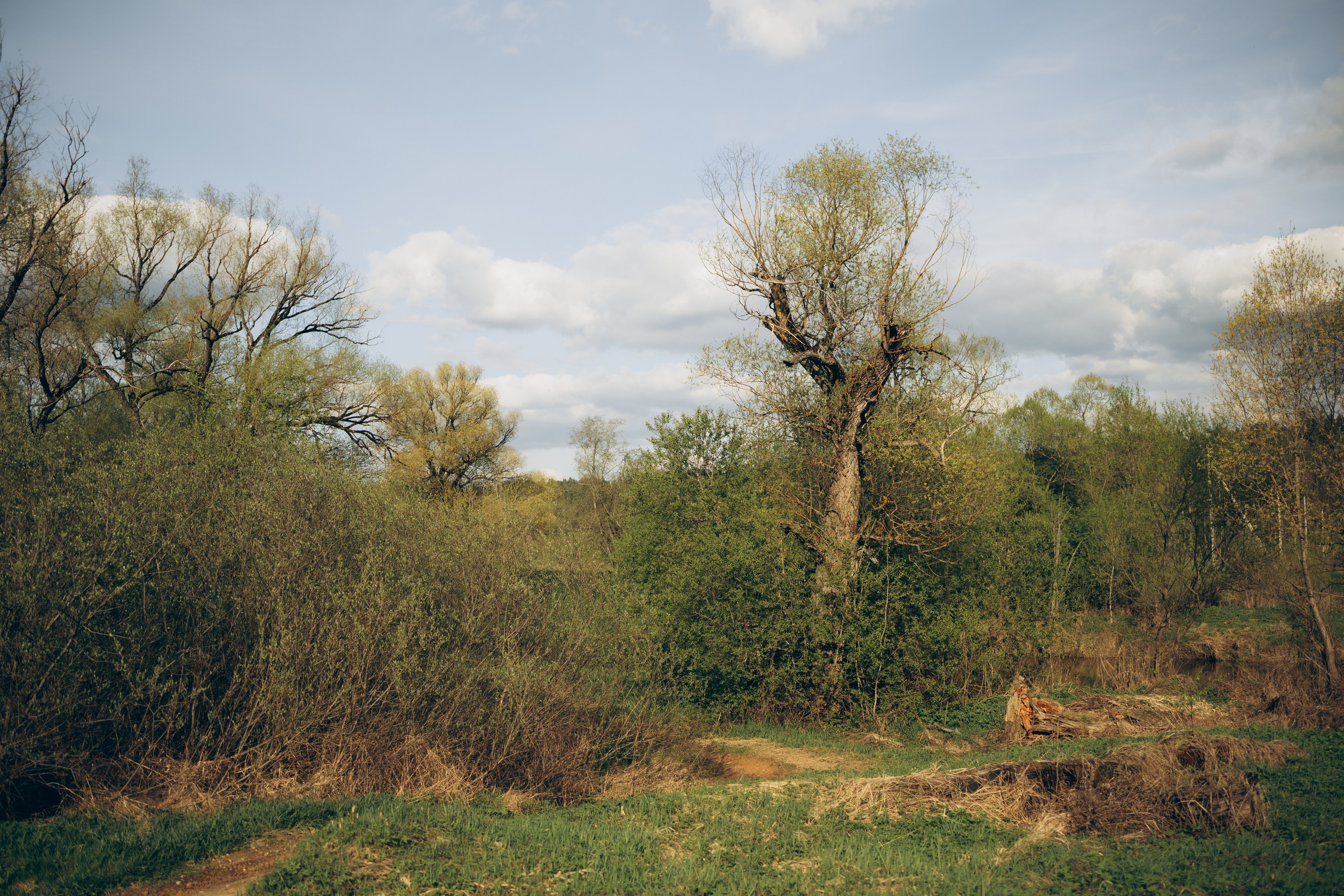Istra. Женский фотограф Истра
