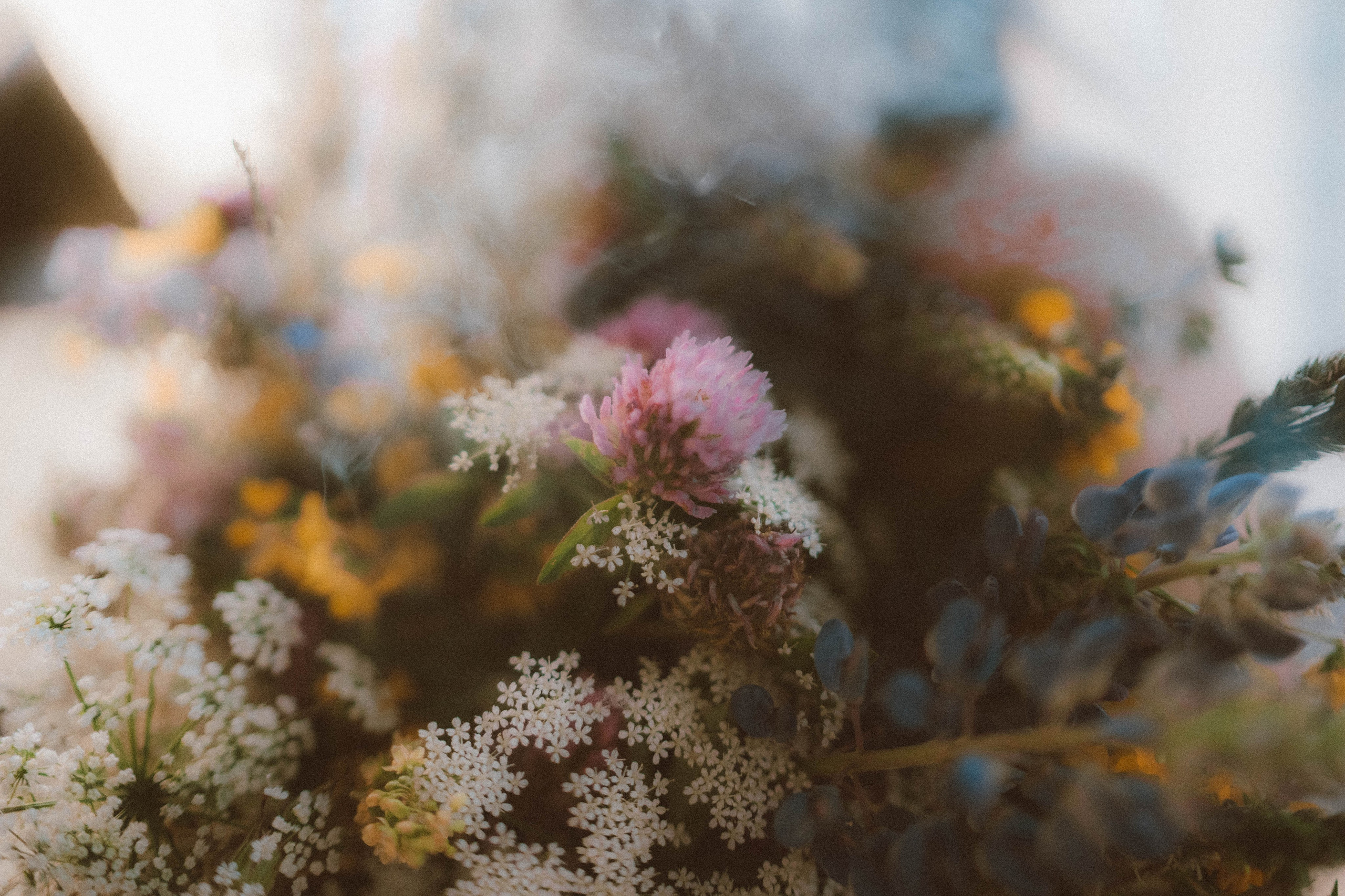 Алиса в стране чудес. Olgamashh