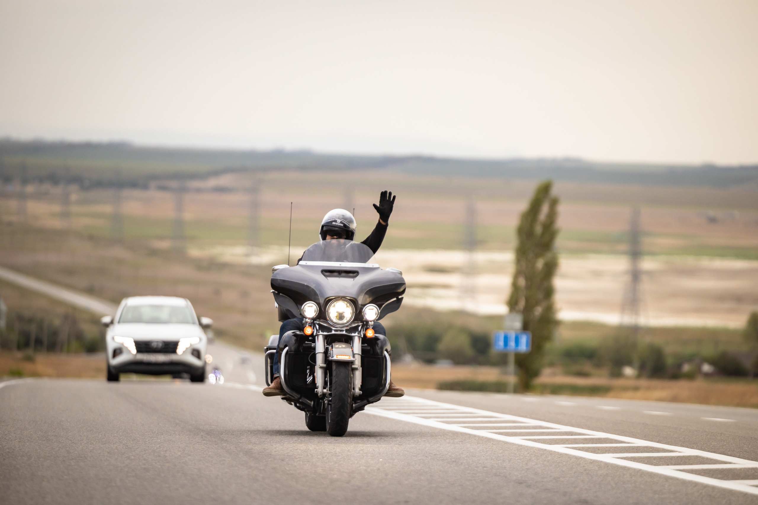 Южное Сафари в Тамани. Сентябрь 2024. Фотограф Владимир Охрименко