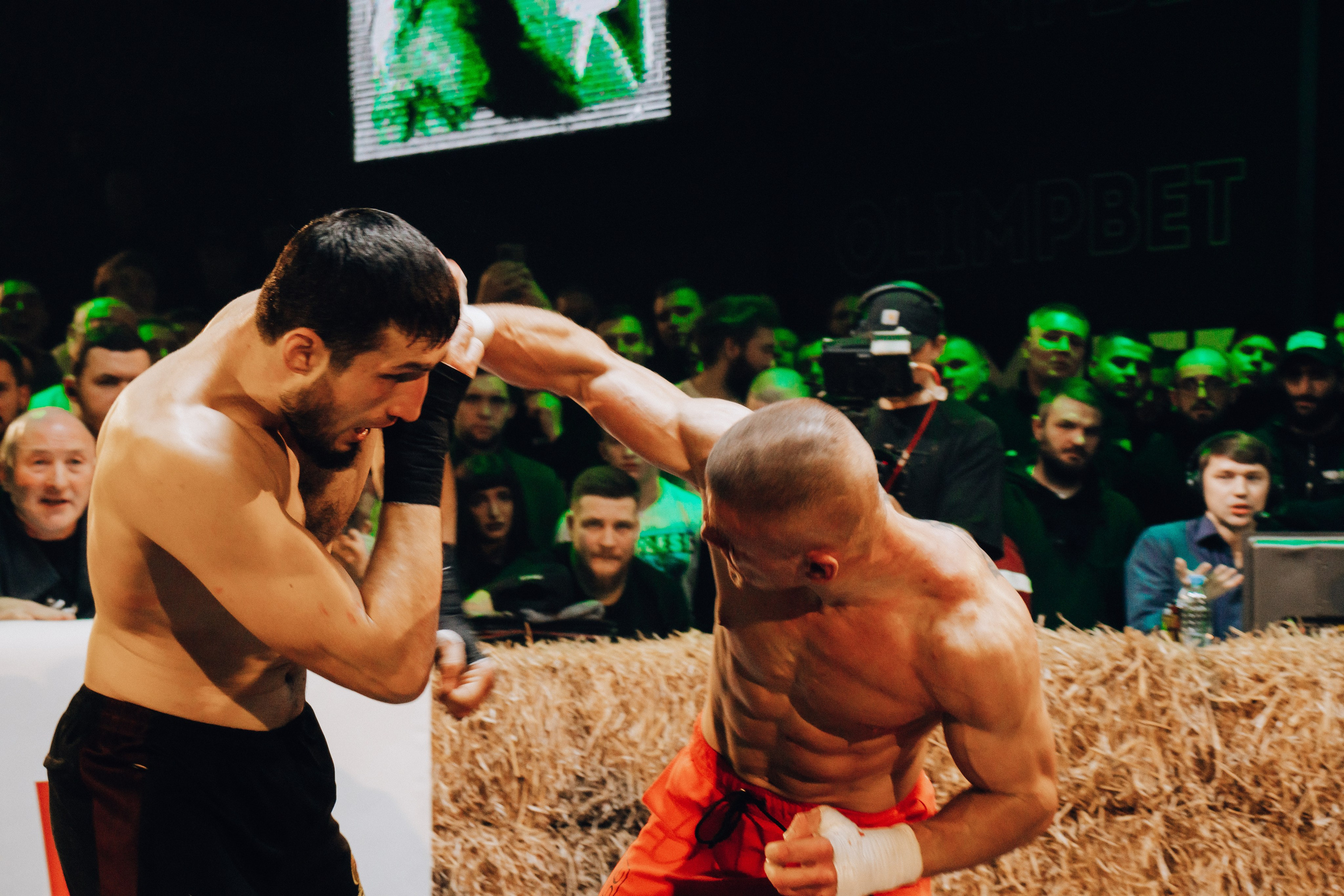 Кулачные бои TopDog. Анастасия Тен