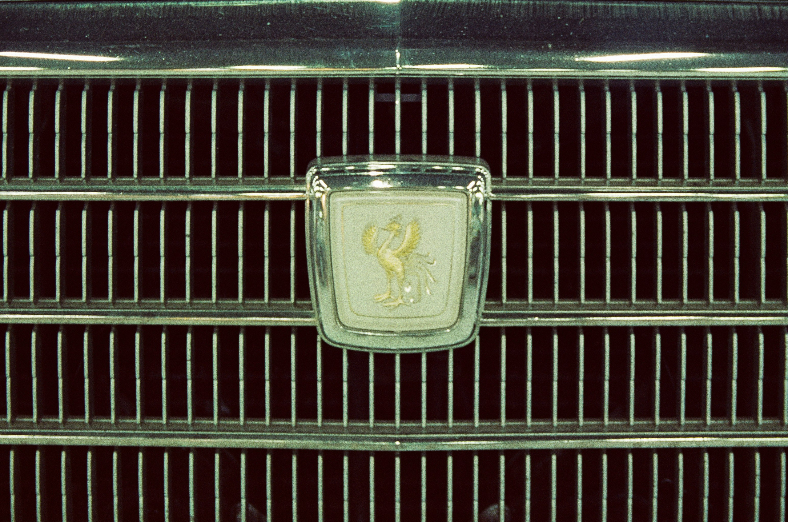 #05пленка. Kodak Vision 3 500T. Minolta Dynax 5. 28-80. Фотограф Наталья Вершинина