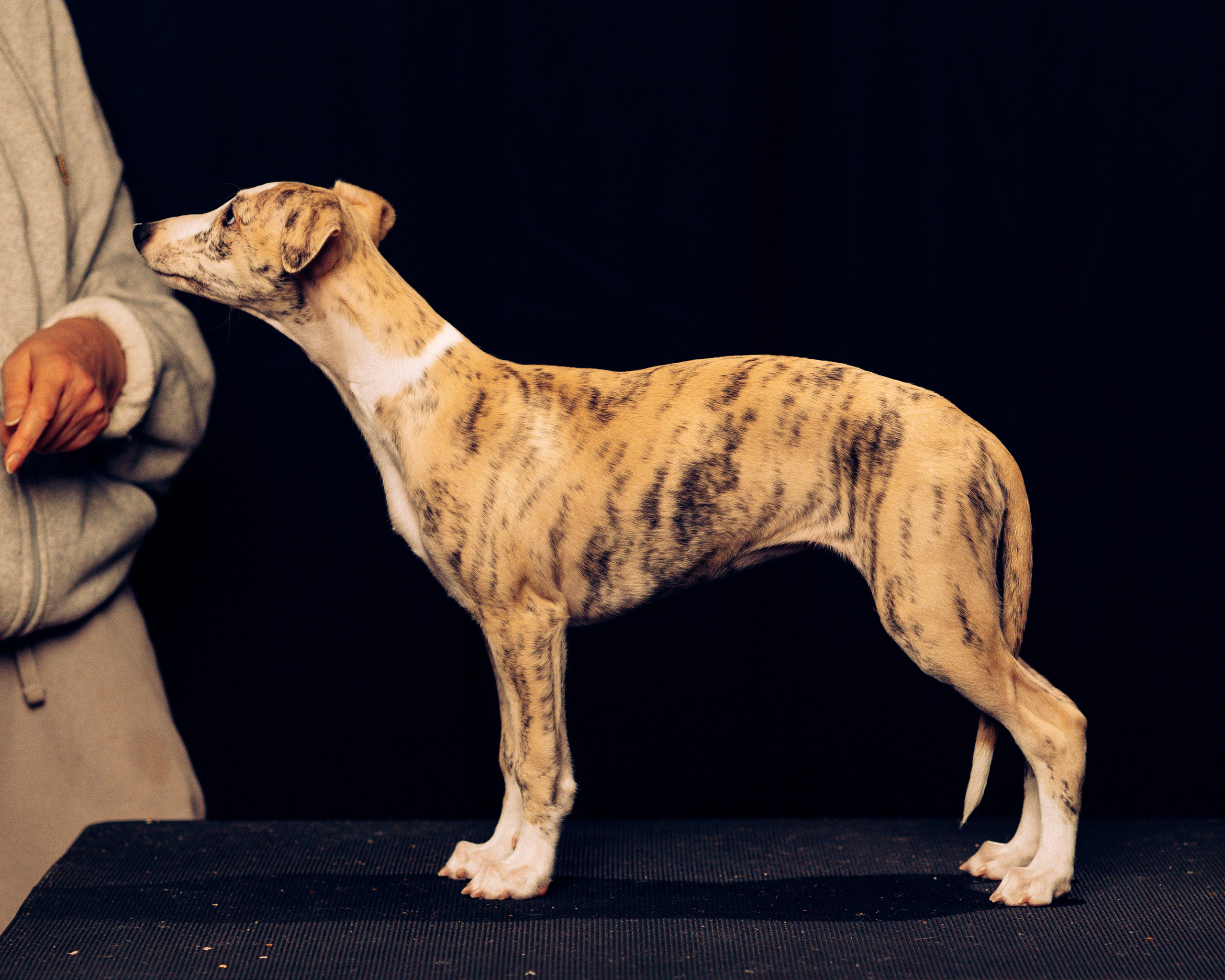 Детки-конфетки. Анна Самохина. Фотограф. Москва