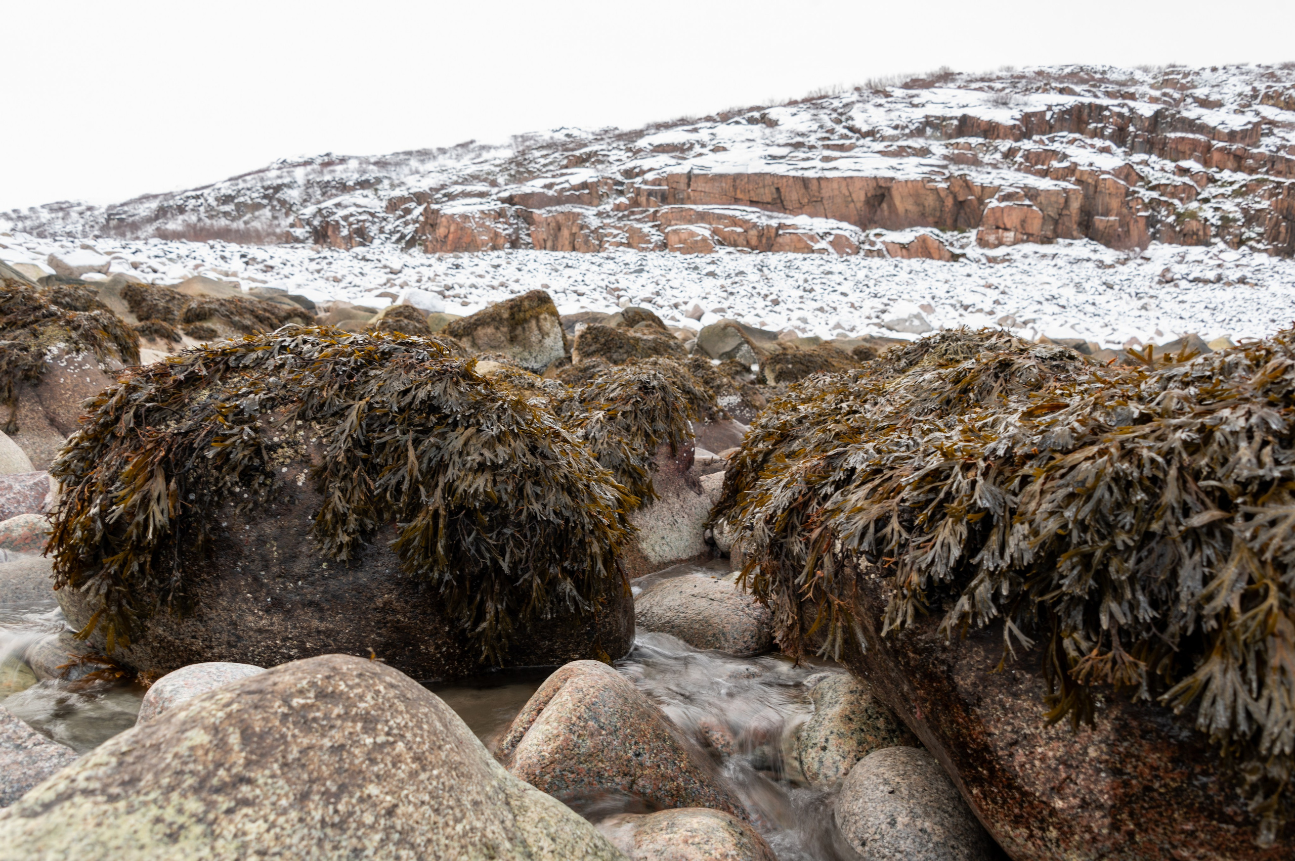 Териберка. Ноябрь 2023. Фотограф Роман Адлер