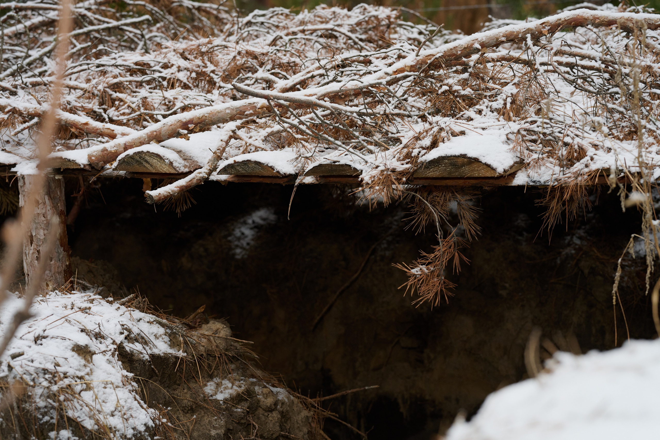 Будни съёмок фотопроекта Территории. Фотограф Роман Адлер