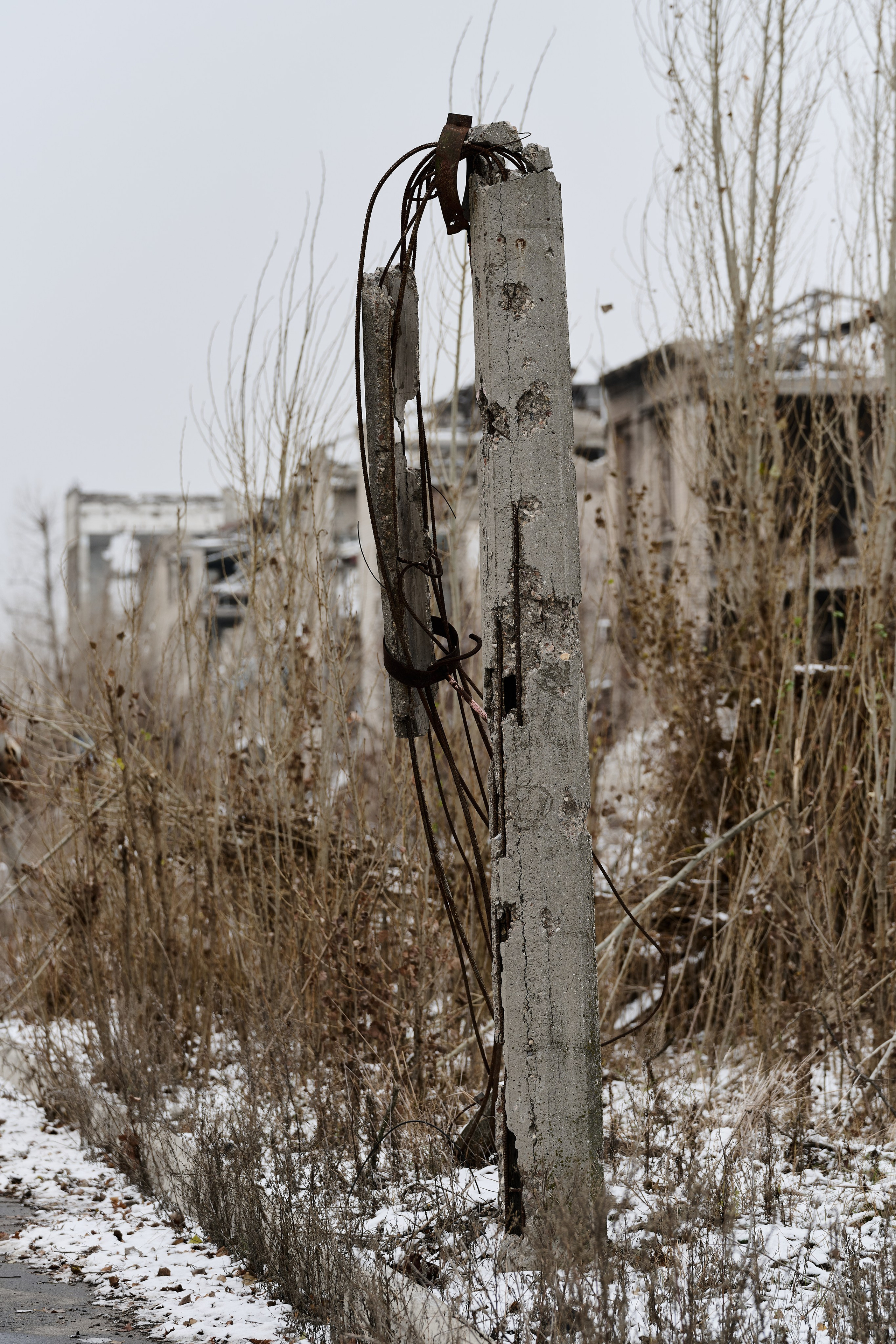 Рубежное. Декабрь 2024. Фотограф Роман Адлер