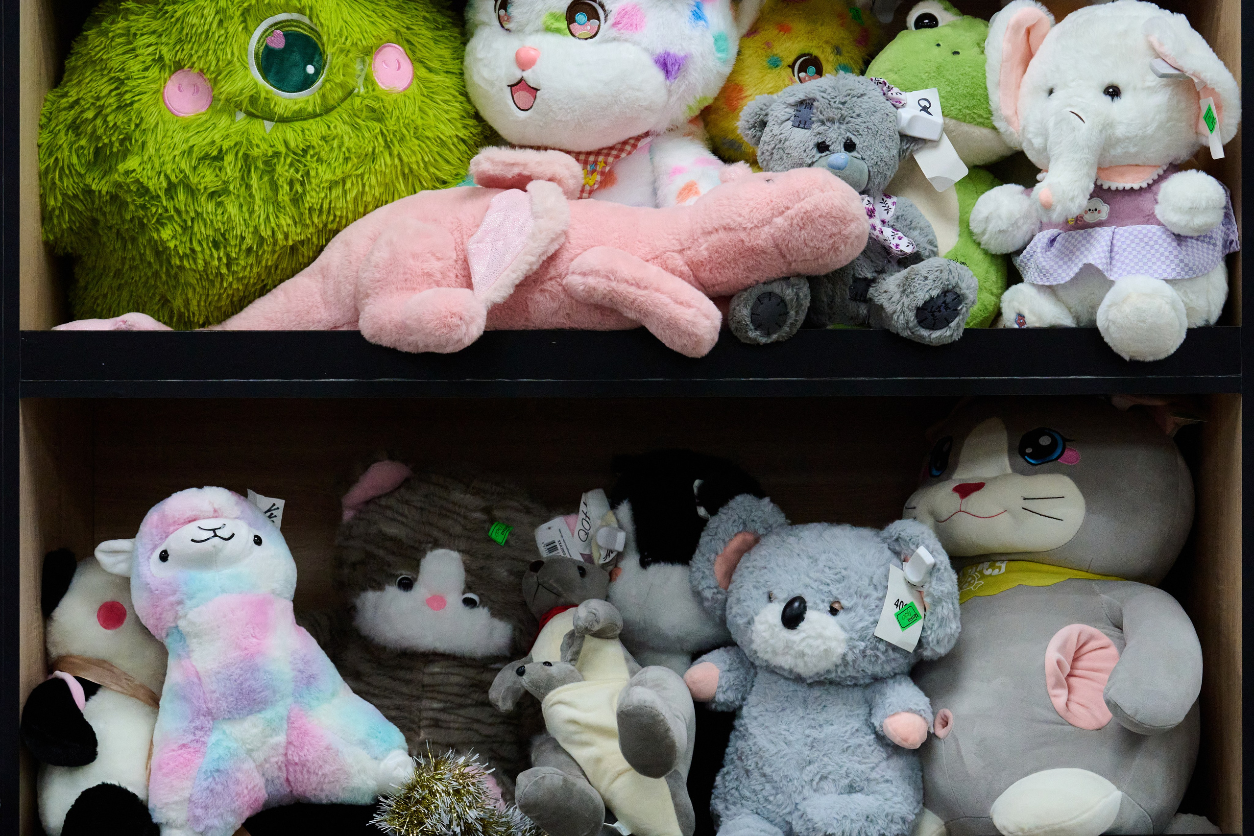 Северодонецк. Январь 2026. Фотограф Роман Адлер