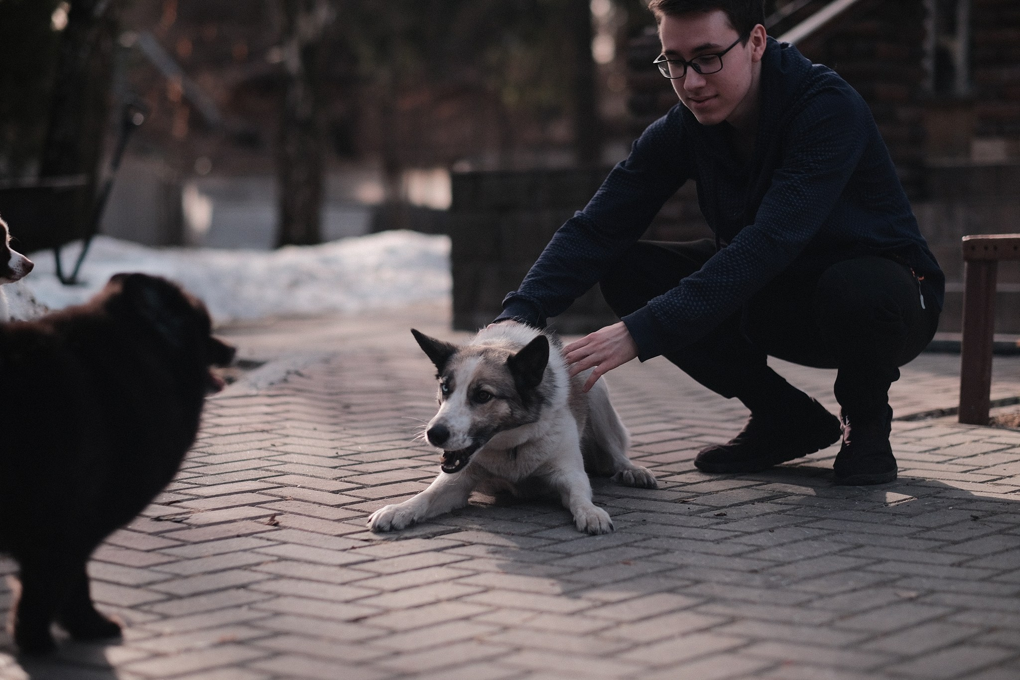 Аляска, Чарли, Пати и их люди. Дмитрий Бречалов