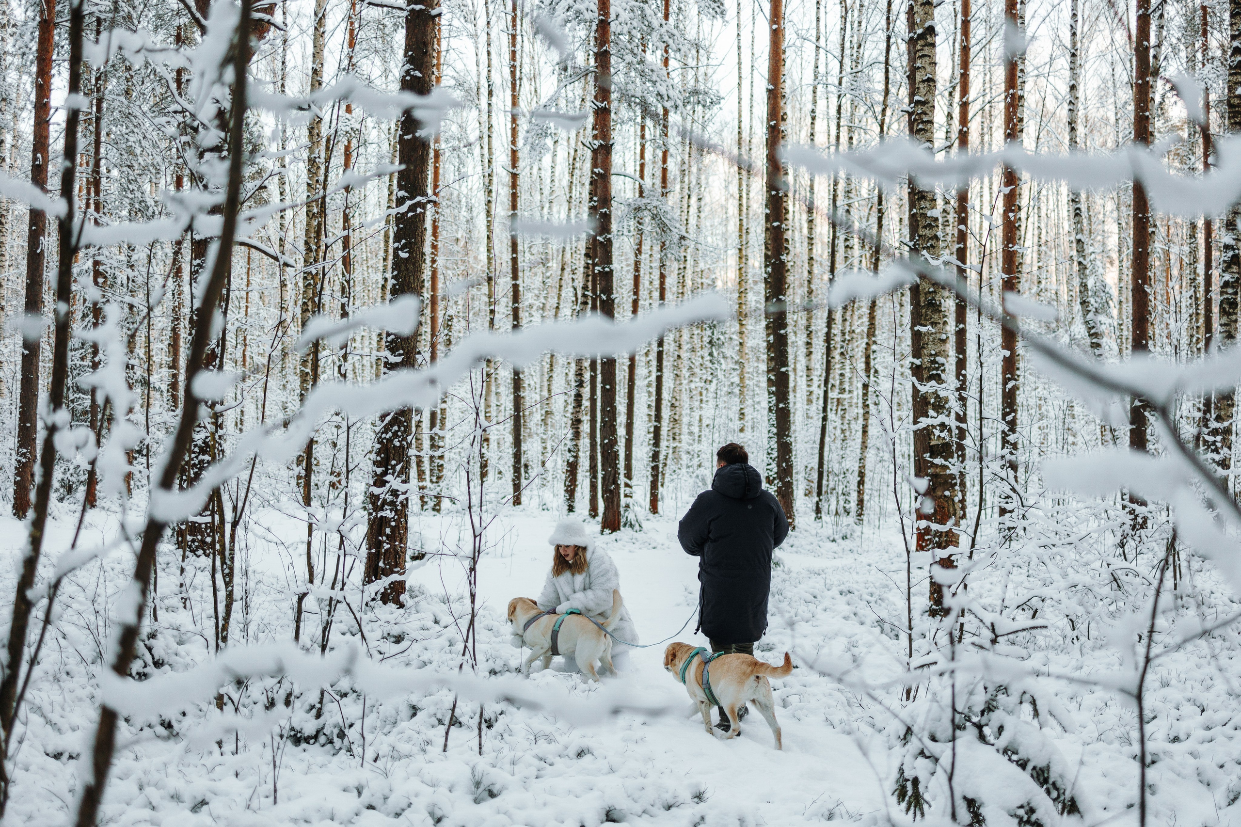 Ребята и их хвостатая семейка. Фотограф — Анималист | Санкт-Петербург