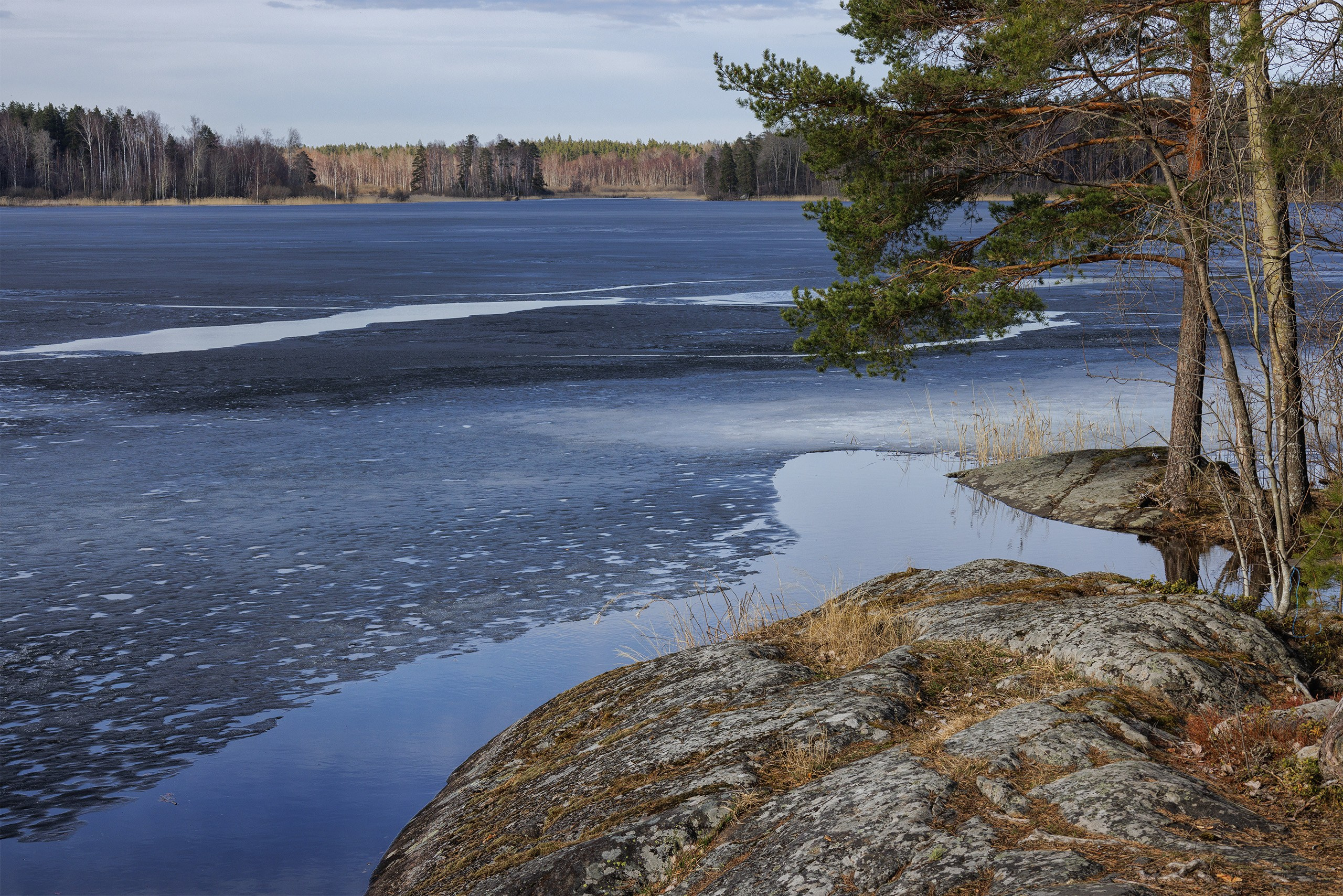 Пейзажи. Сайт фотографа Елены Михайловой. Фотосессии на пленэре в Сестрорецке