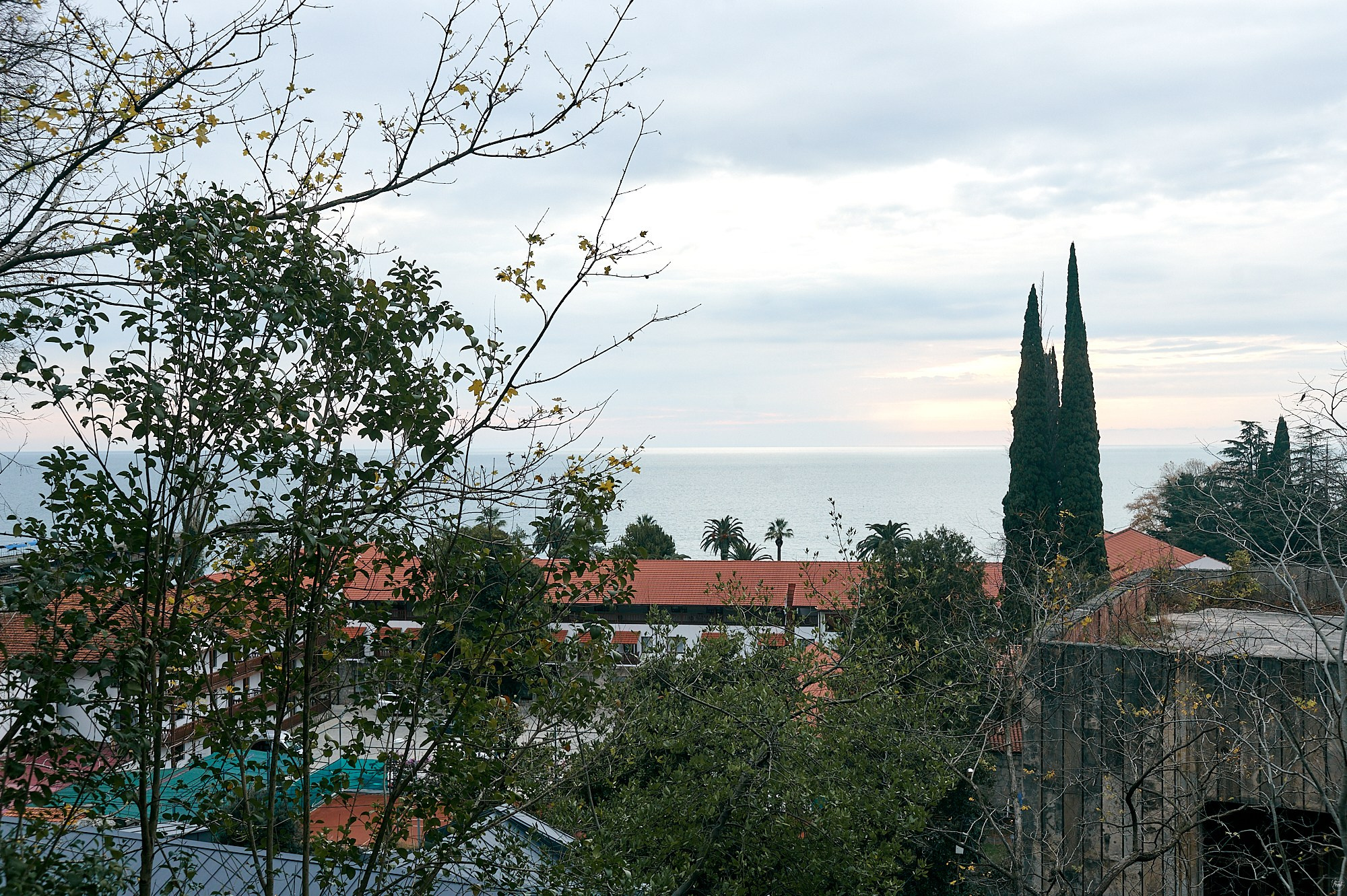 Гагра, Абхазия. Декабрь 2024. Фотографии отовсюду и обо всем