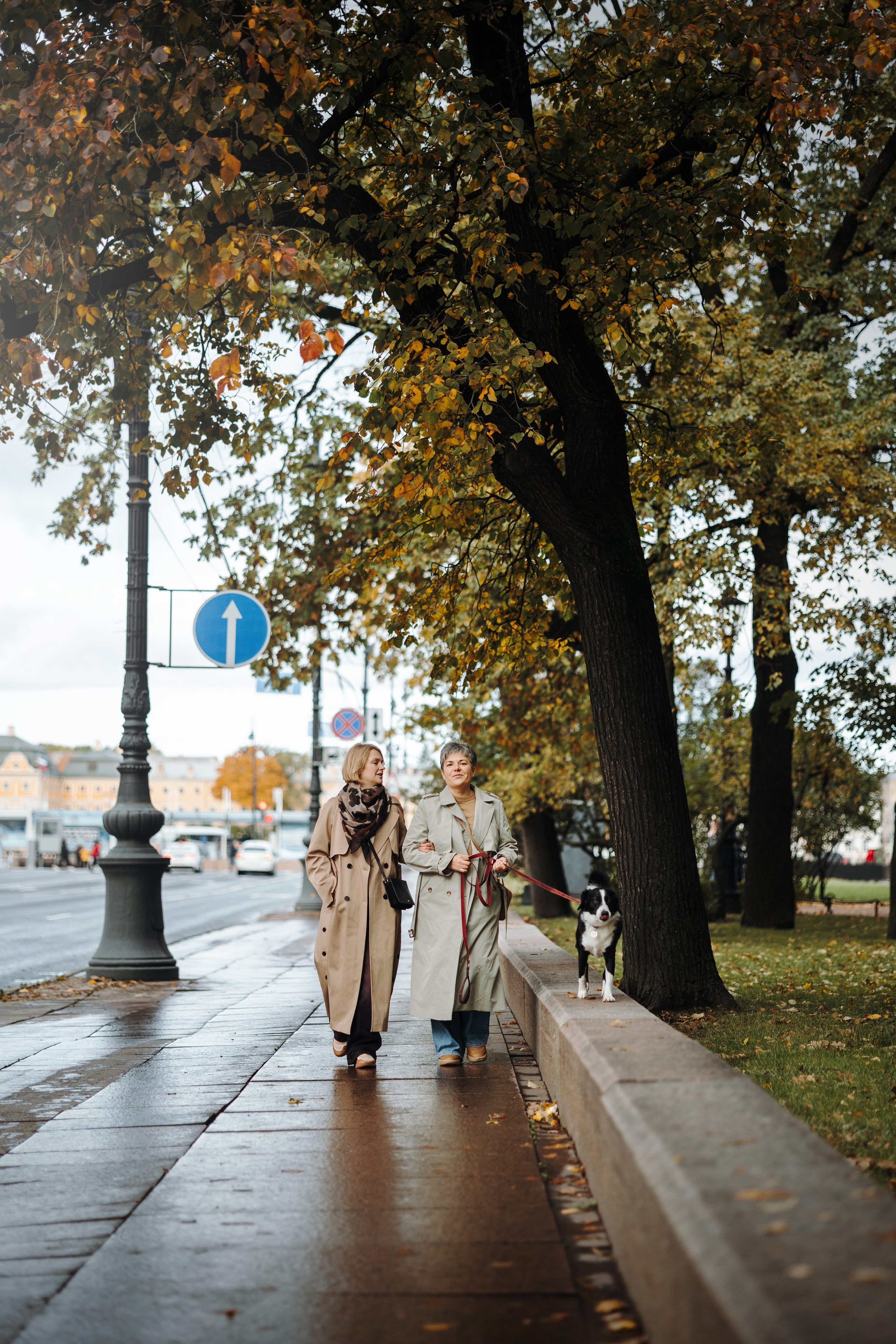 Мишель и ее семья. Фотограф — Анималист | Санкт-Петербург