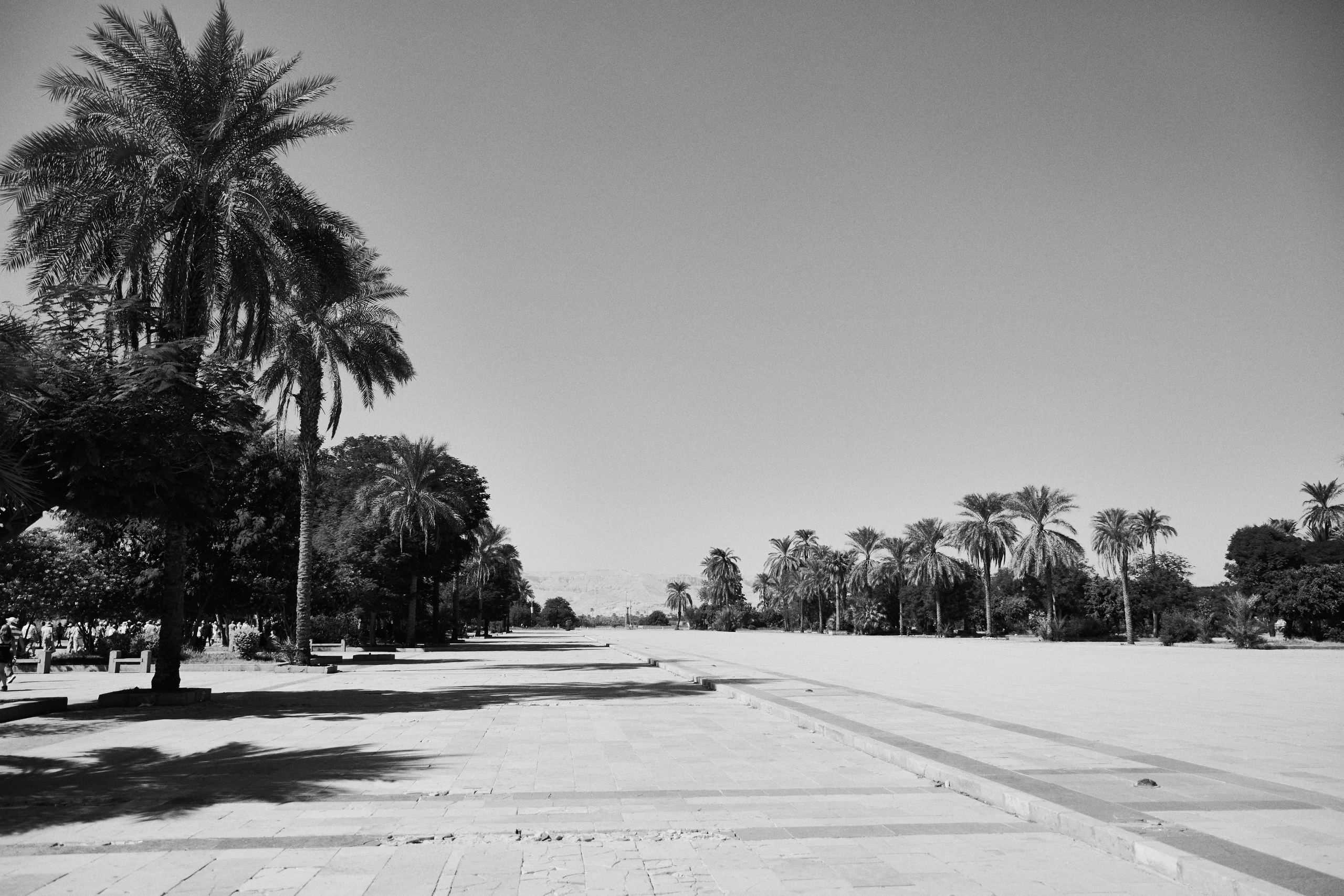 Другое 4. Jorgis — фотограф в Хургаде / обучение фотографии