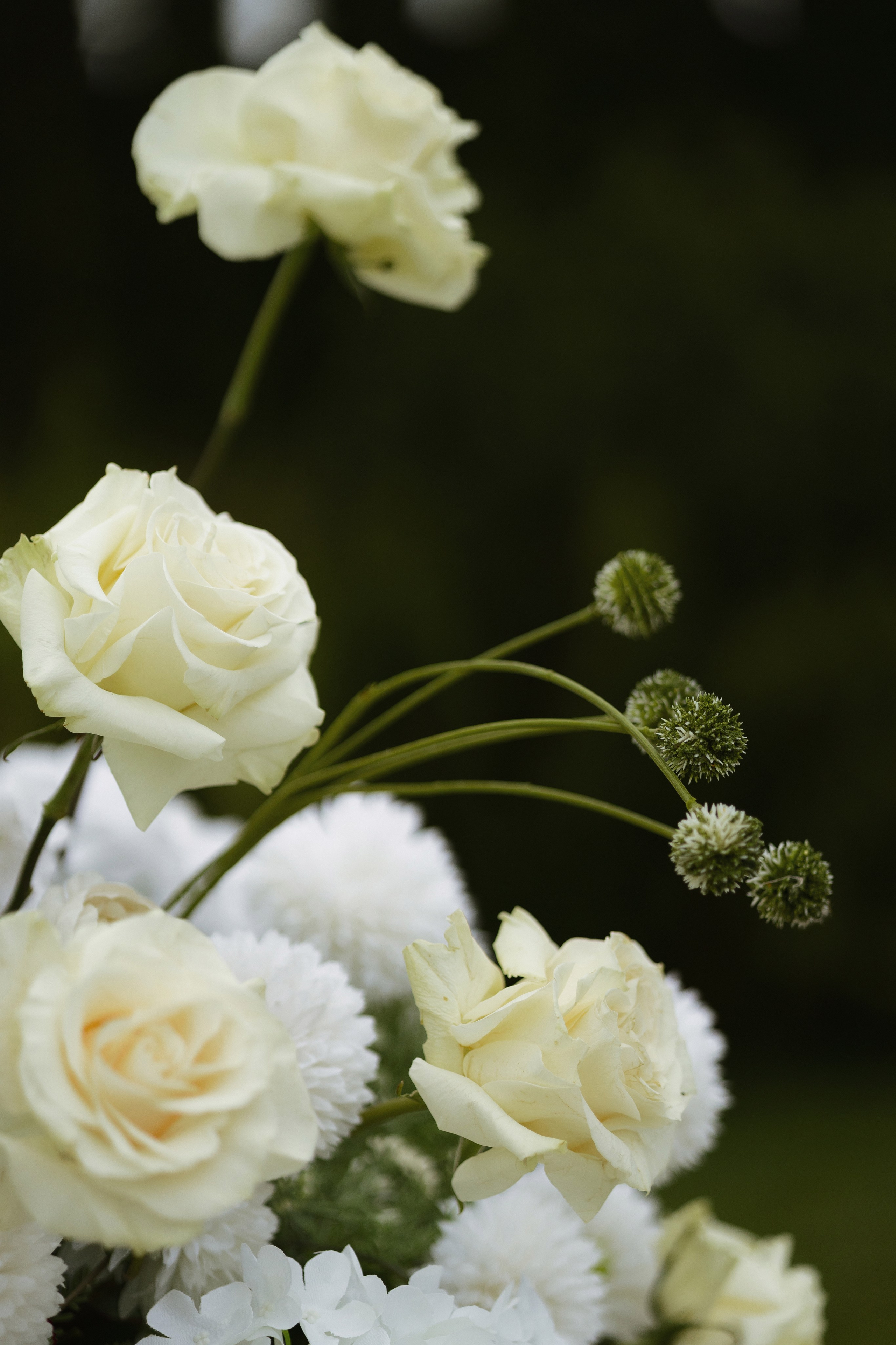 A&I. Свадебный фотограф Лиза Макатович Беларусь Минск