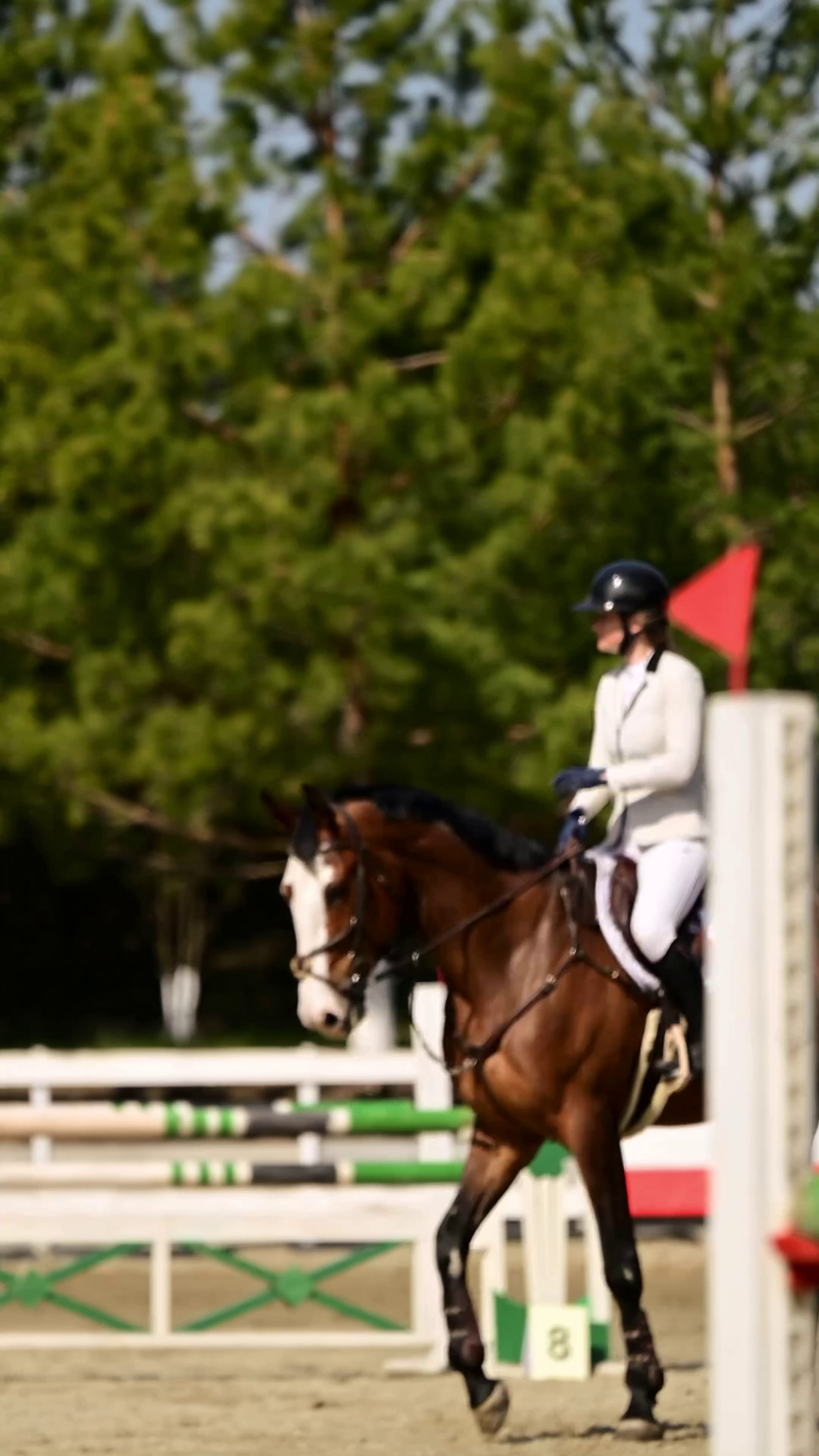 Видео Конкур|Рысистые бега. Мила Астахова