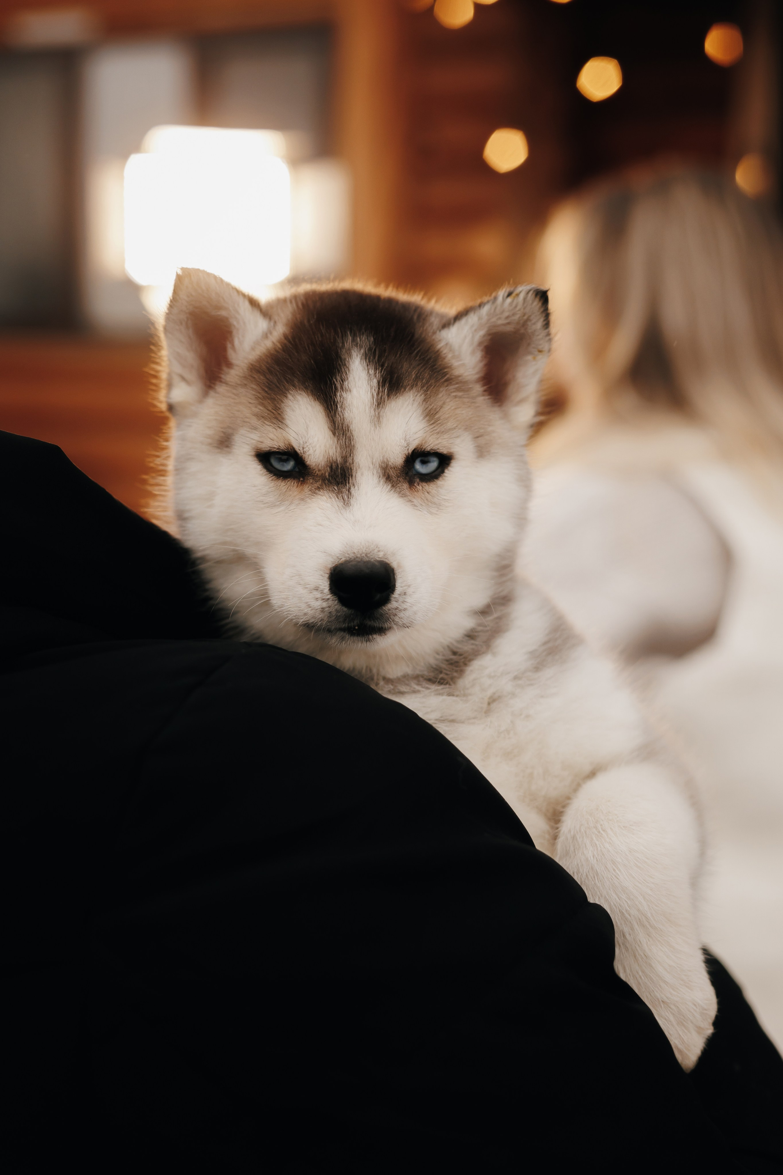 Winter 2024. Свадебный и семейный фотограф Витебск, Минск, Андрей Павлов